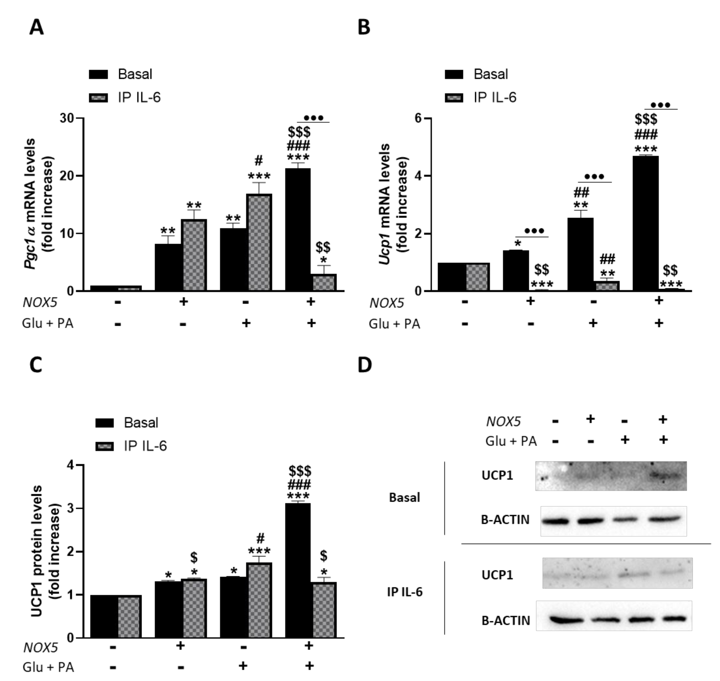 Antioxidants 11 00030 g006