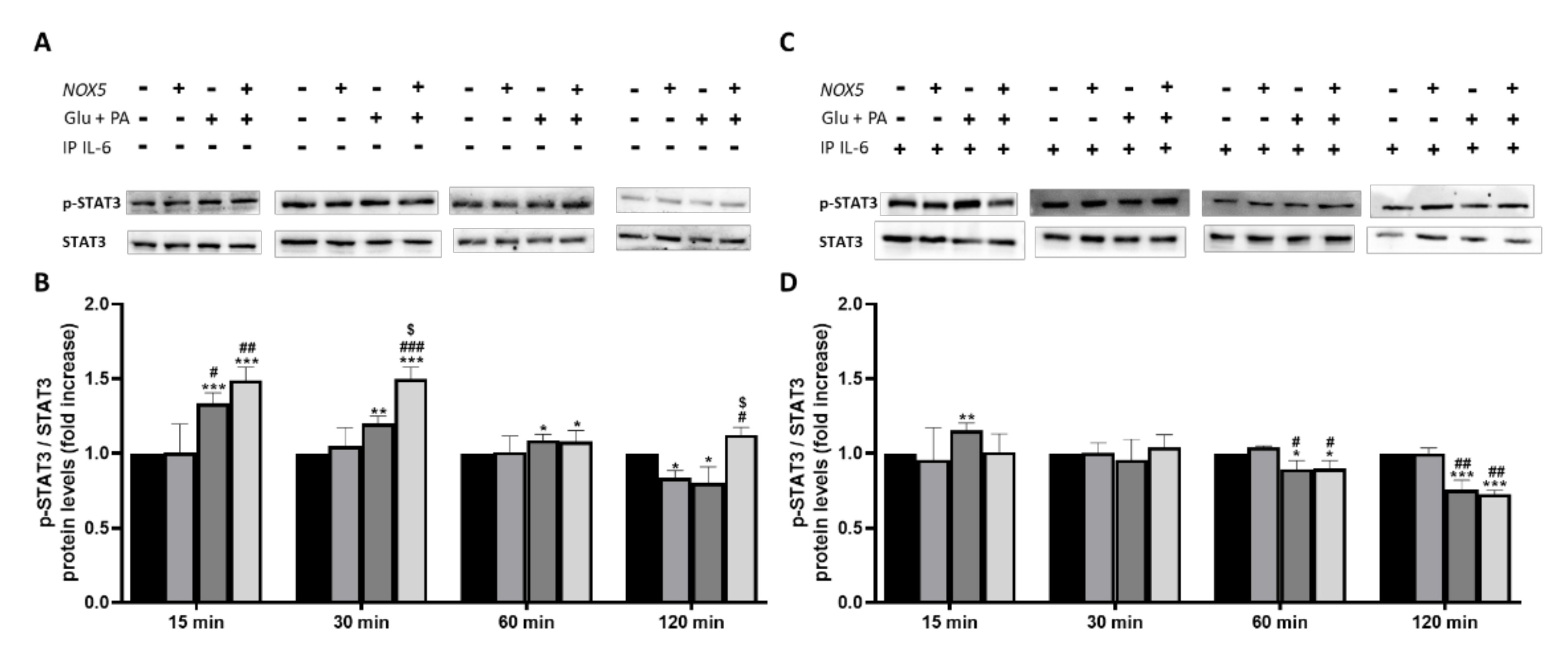 Antioxidants 11 00030 g007