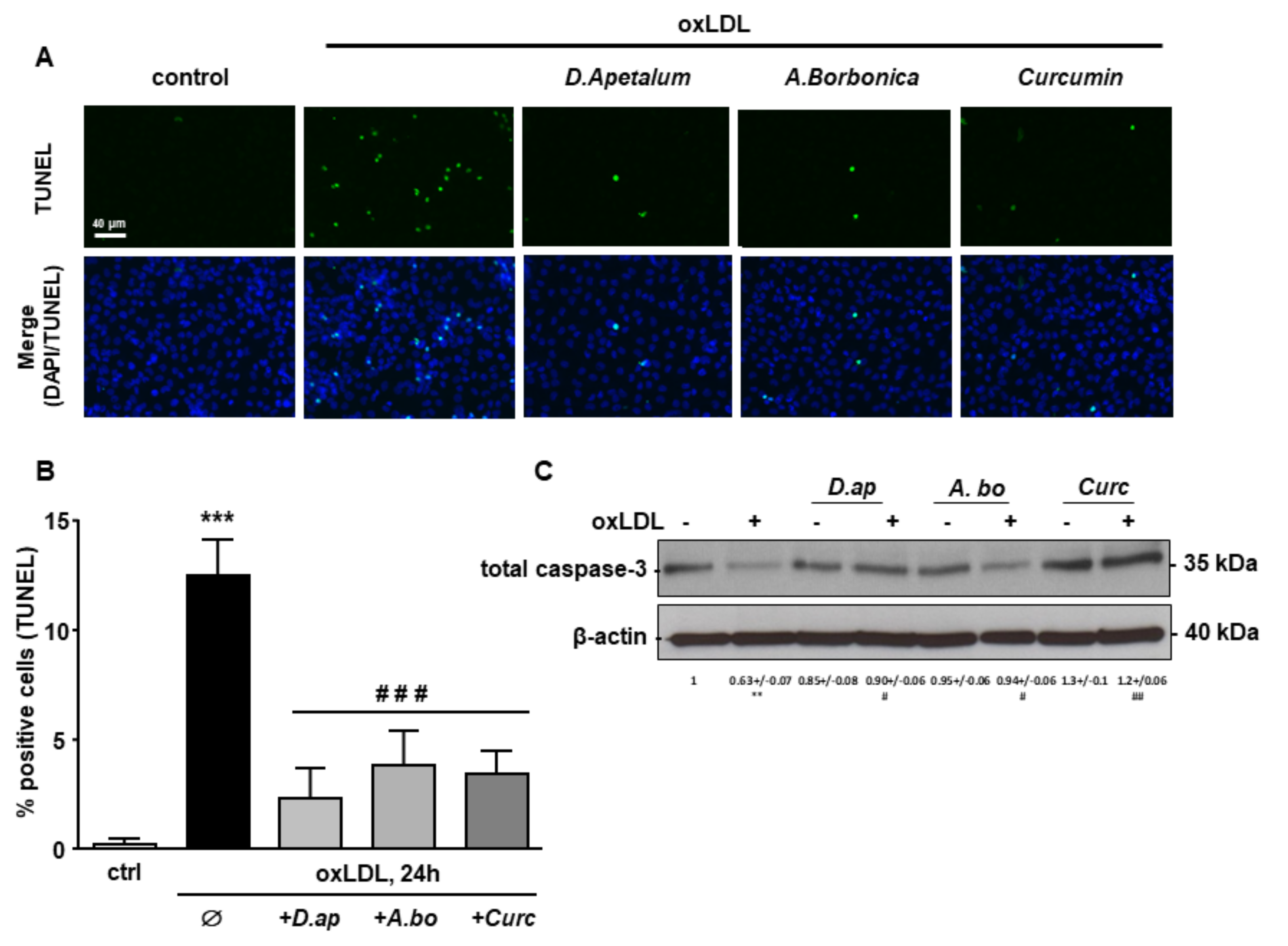 Antioxidants 11 00034 g006