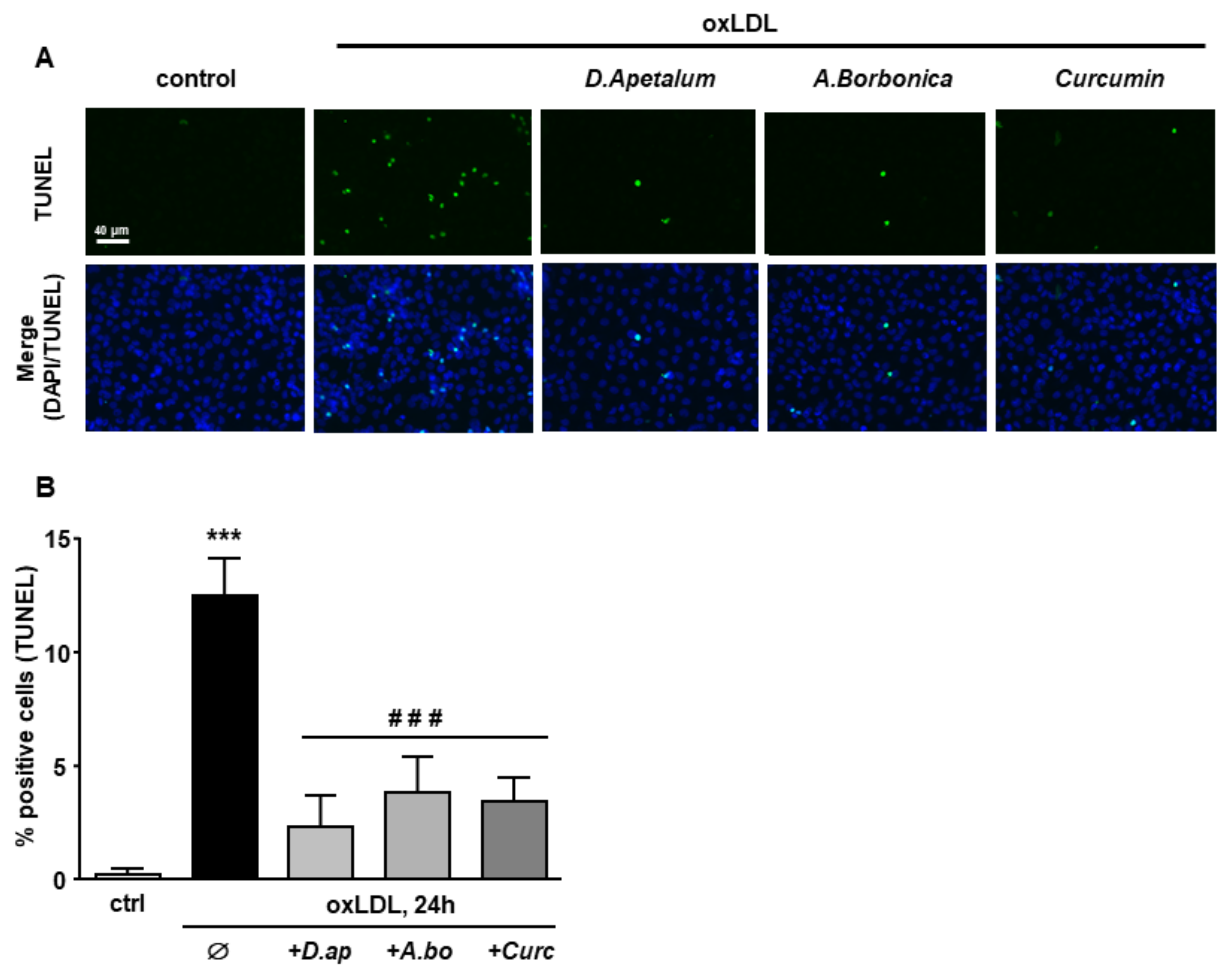 Antioxidants 11 00034 g007
