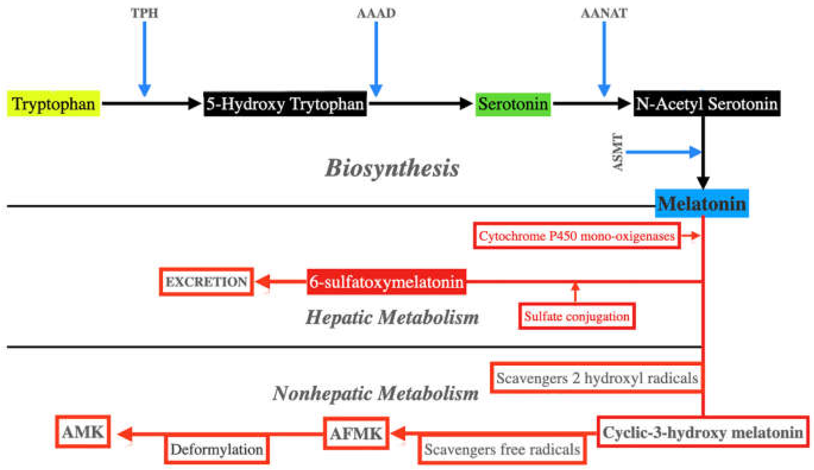 Antioxidants 11 00035 g003 Antioxidants 11 00035 g003