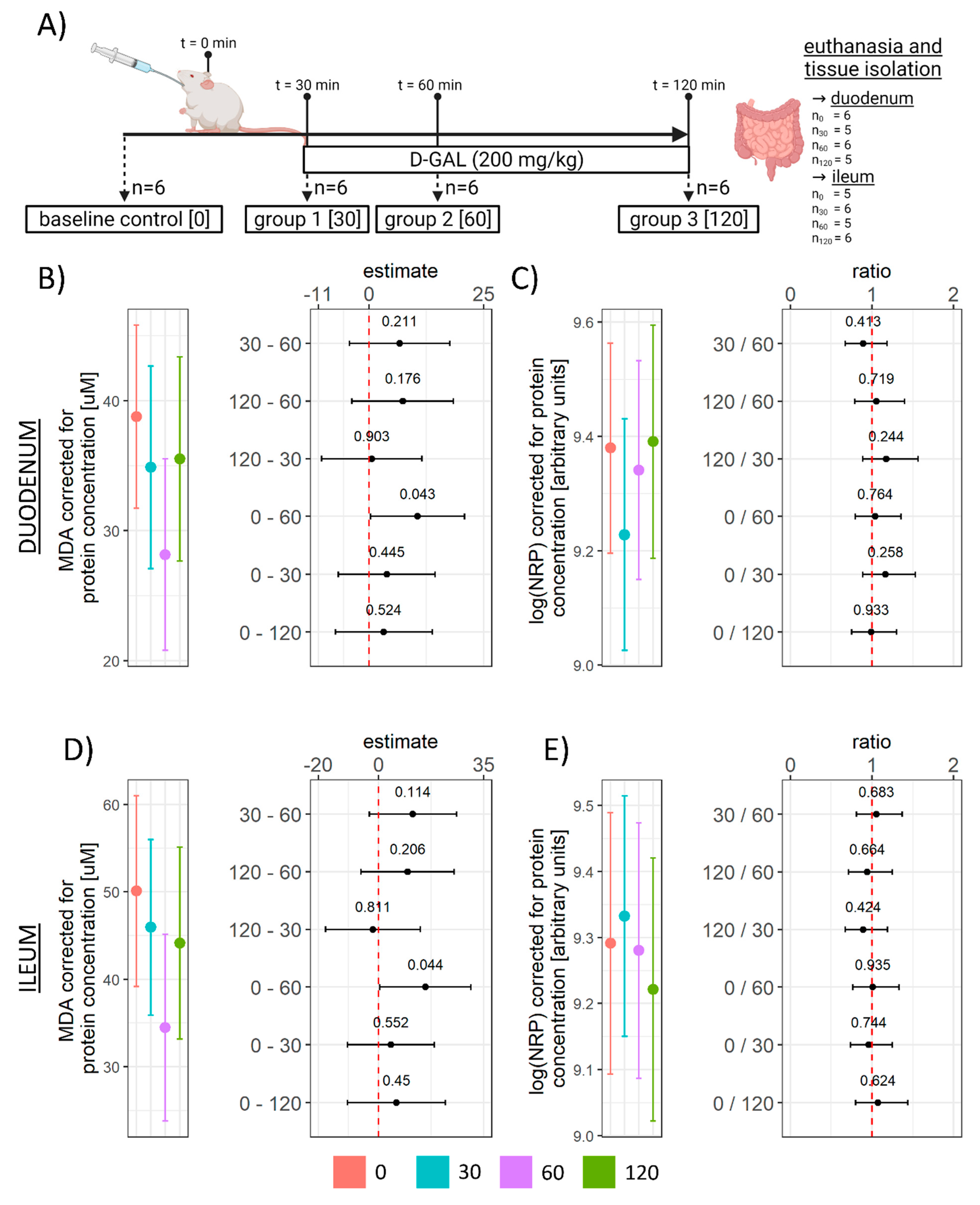 Antioxidants 11 00037 g001