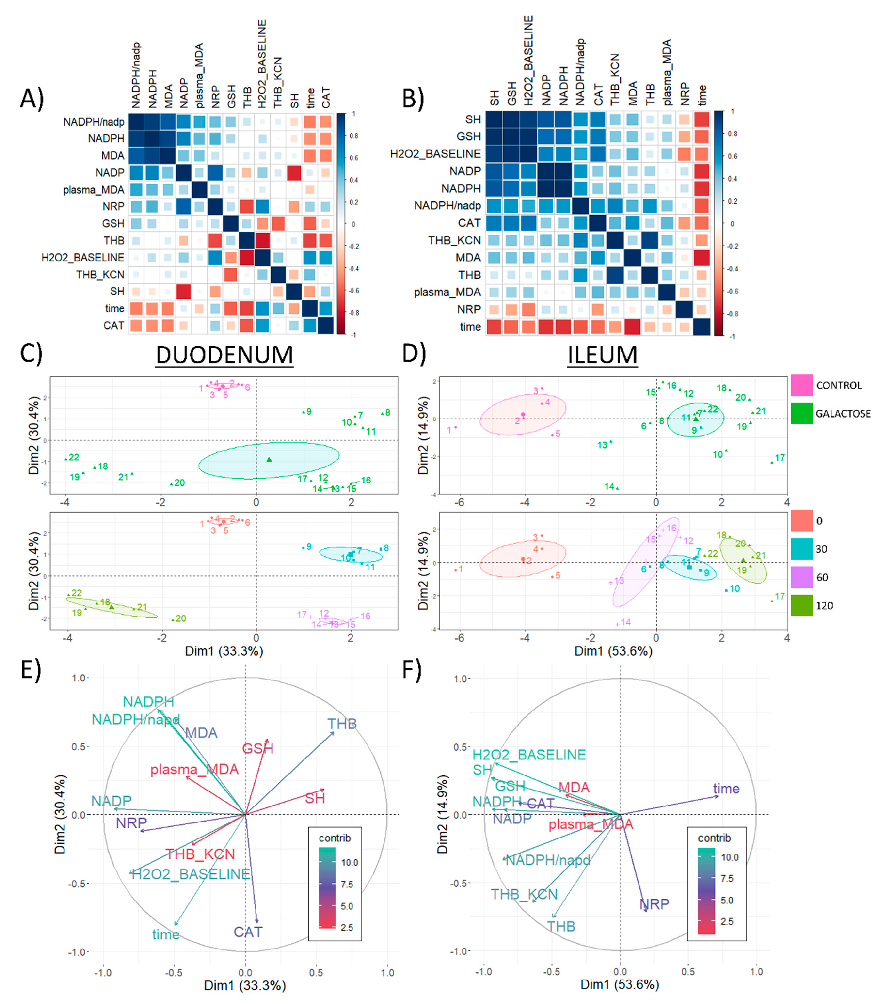 Antioxidants 11 00037 g005