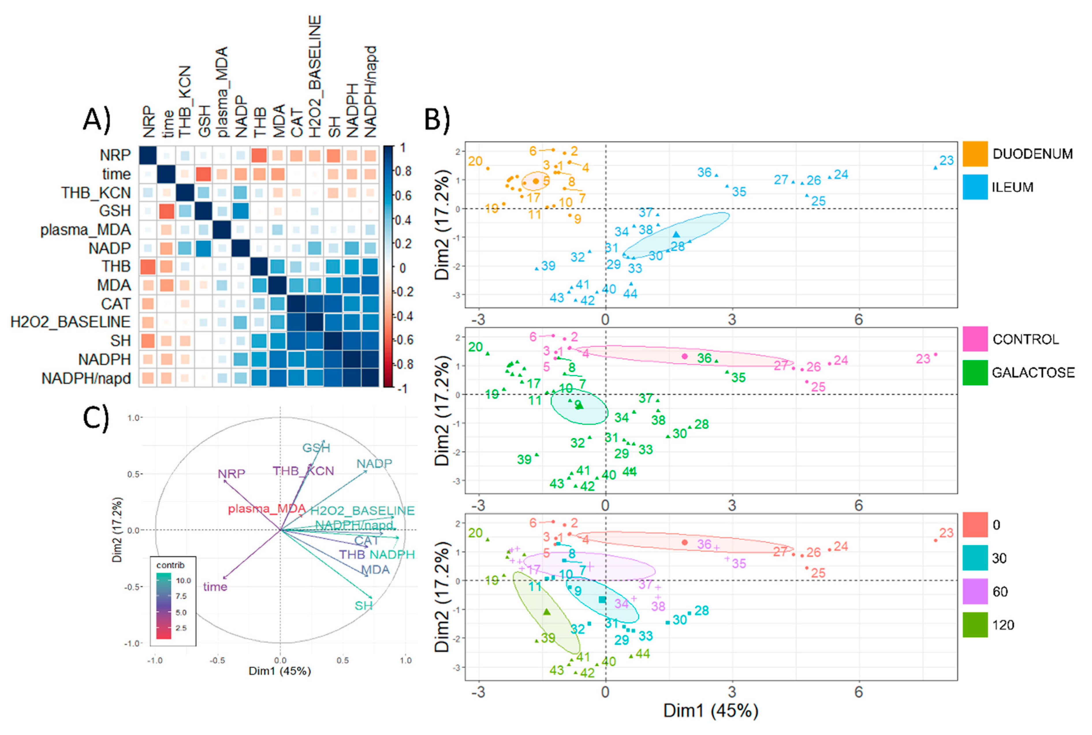 Antioxidants 11 00037 g006
