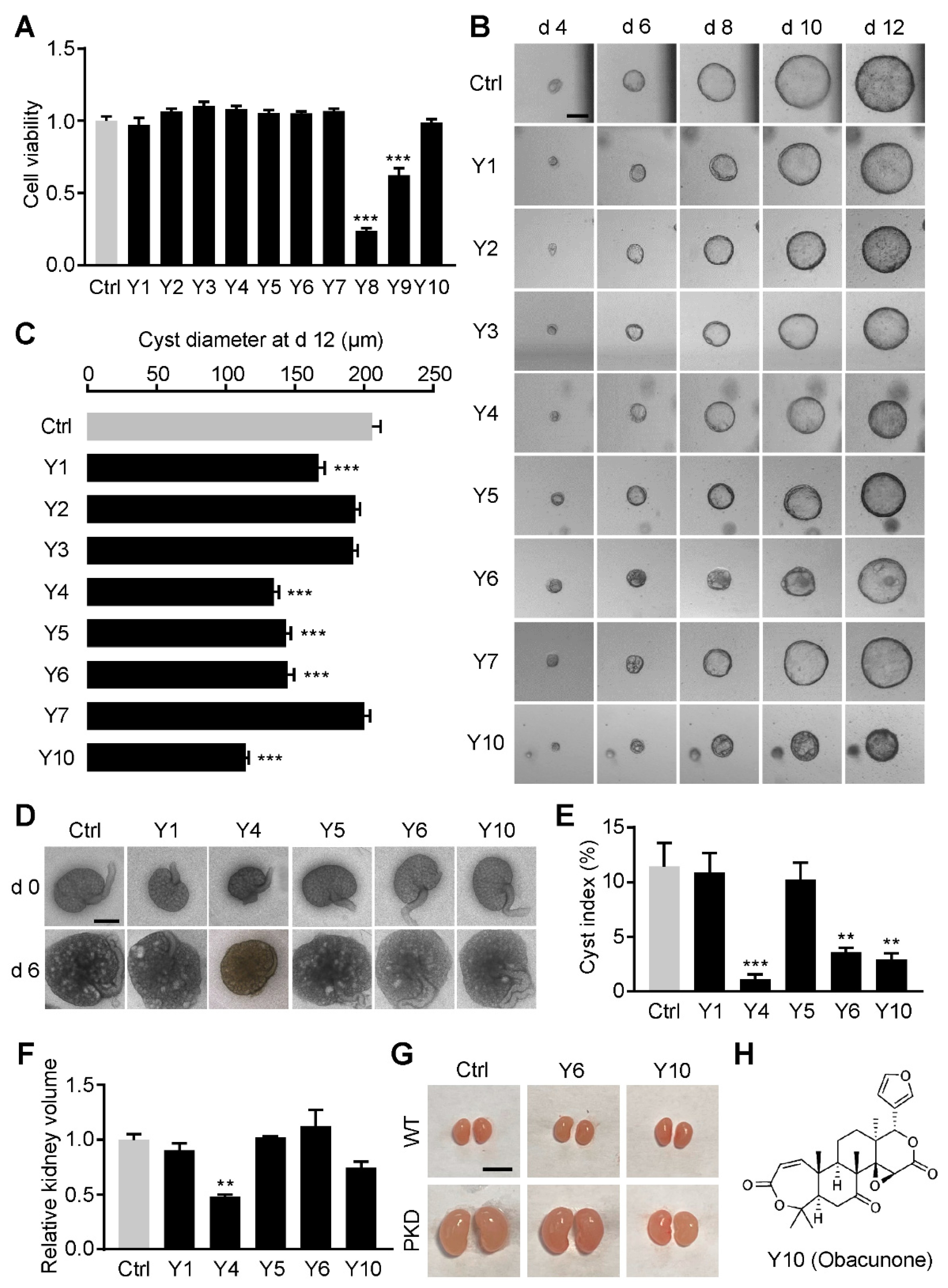 Antioxidants 11 00038 g001