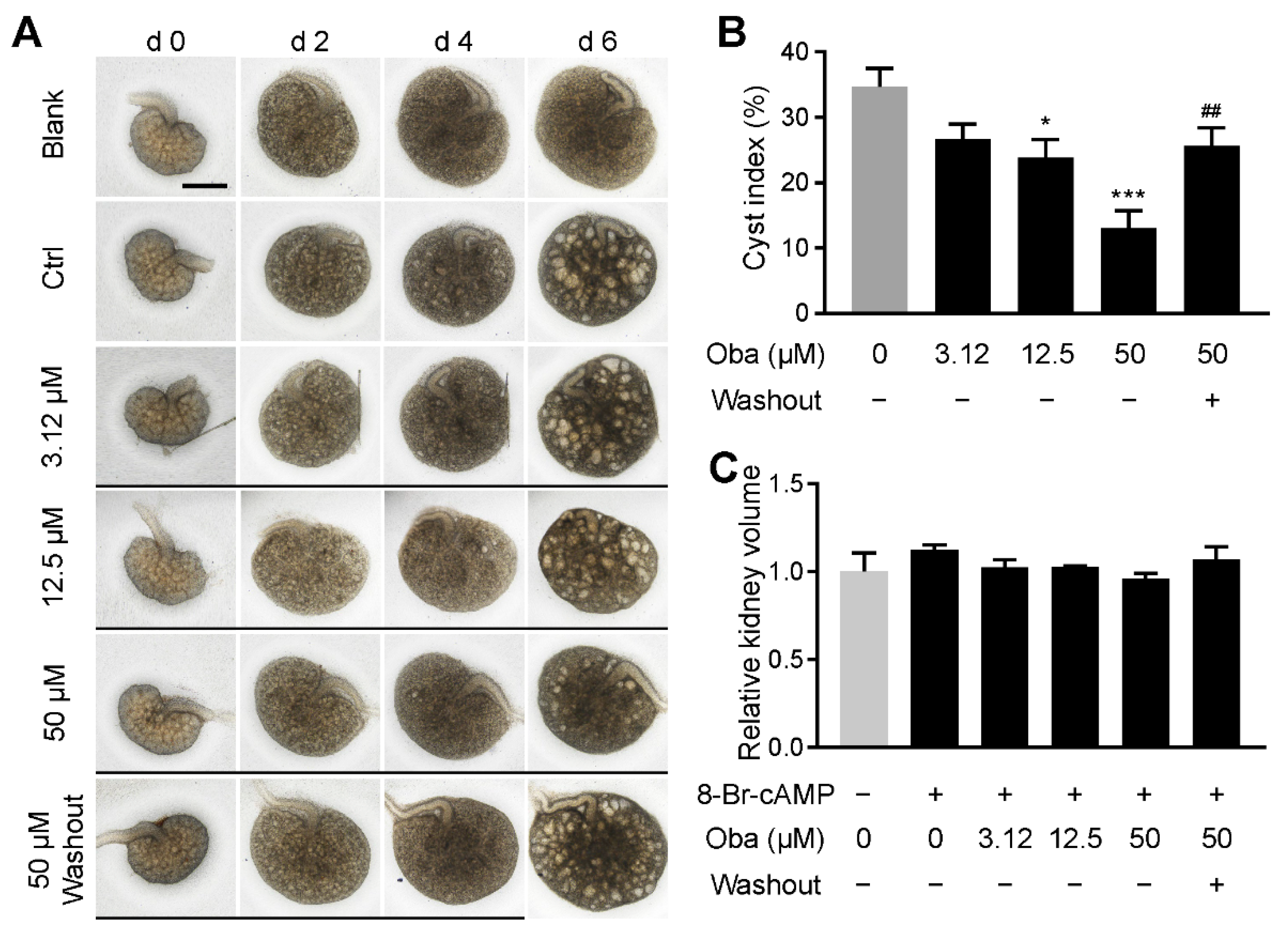 Antioxidants 11 00038 g003