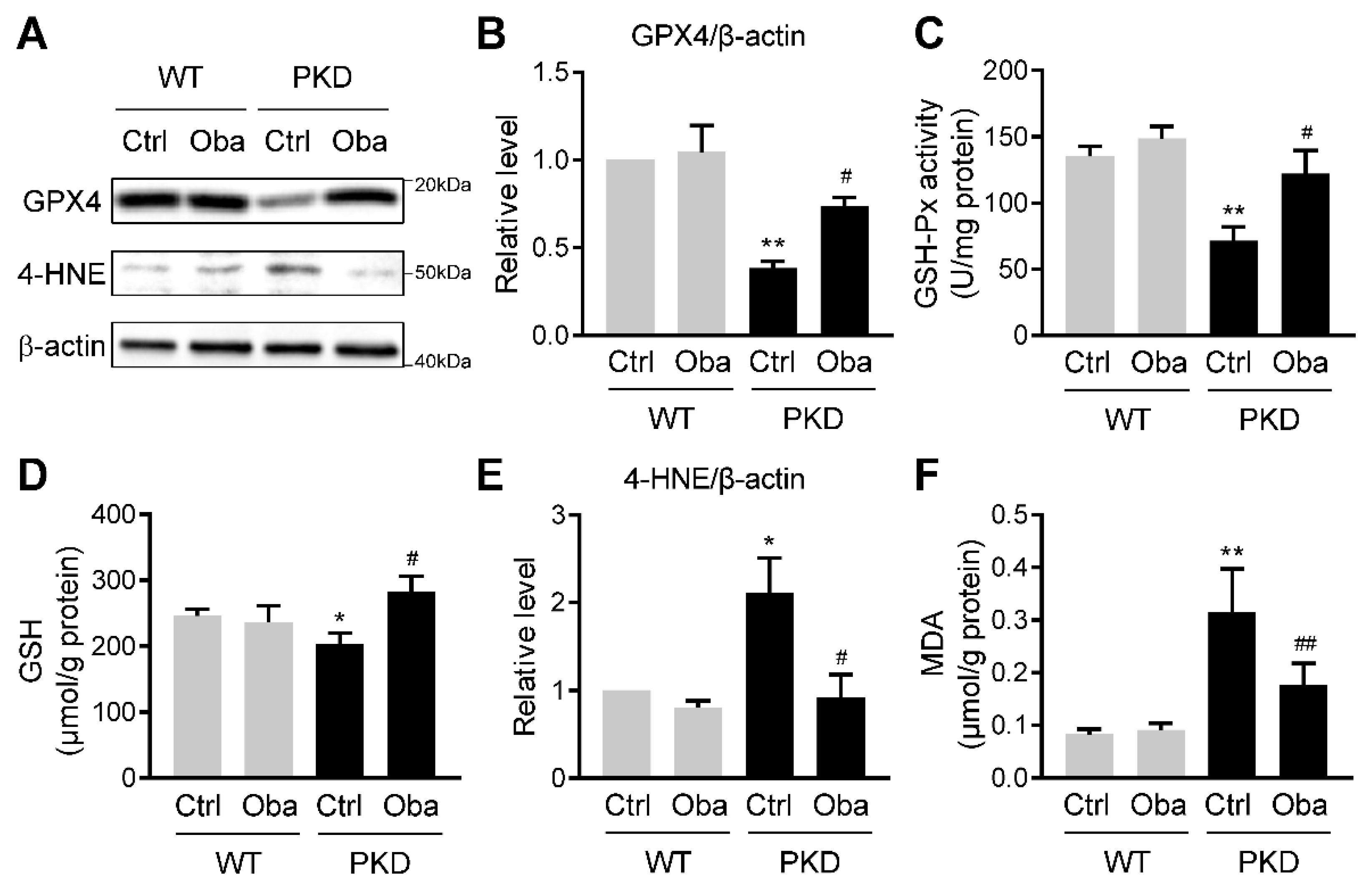Antioxidants 11 00038 g006