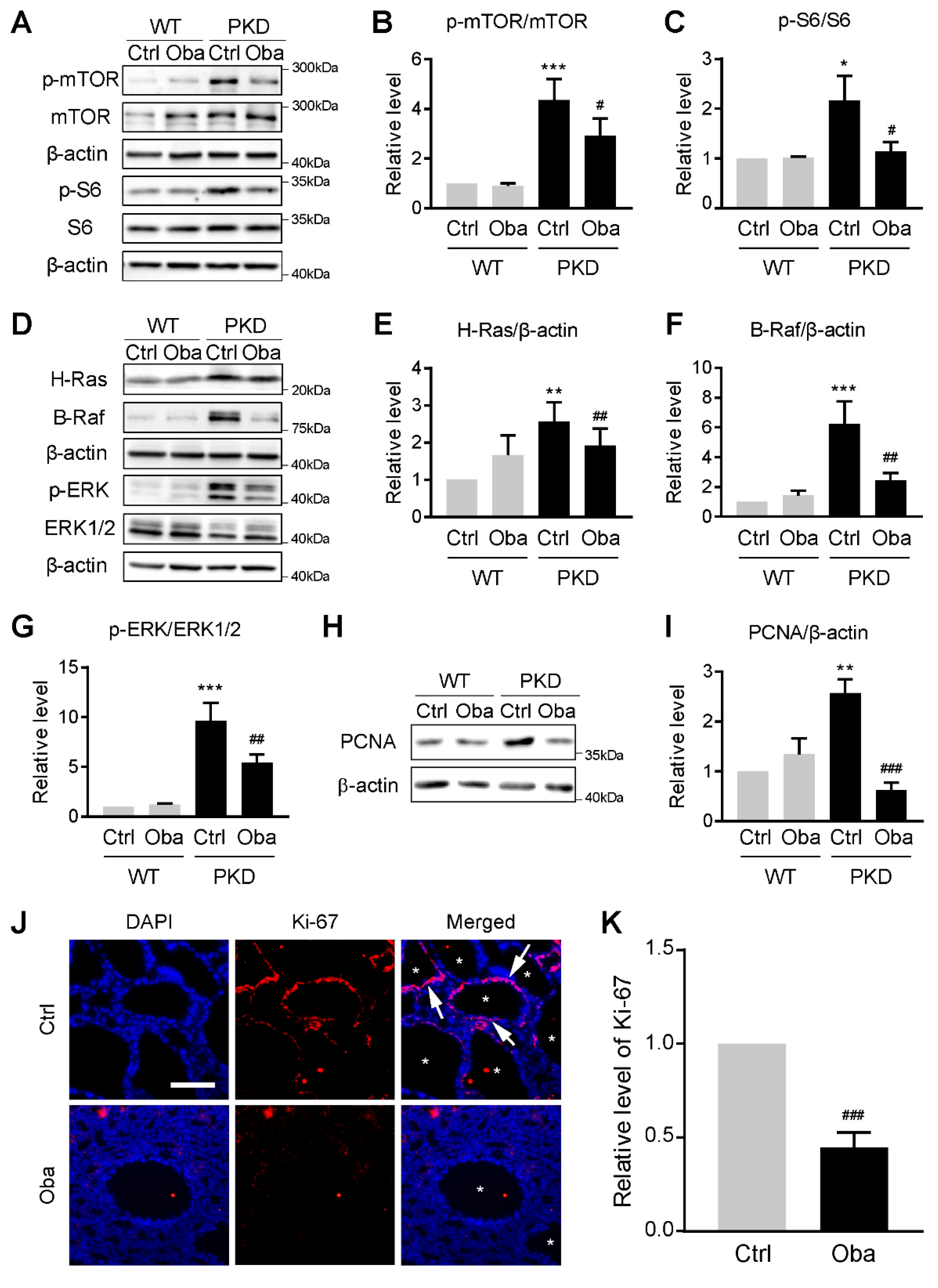 Antioxidants 11 00038 g007