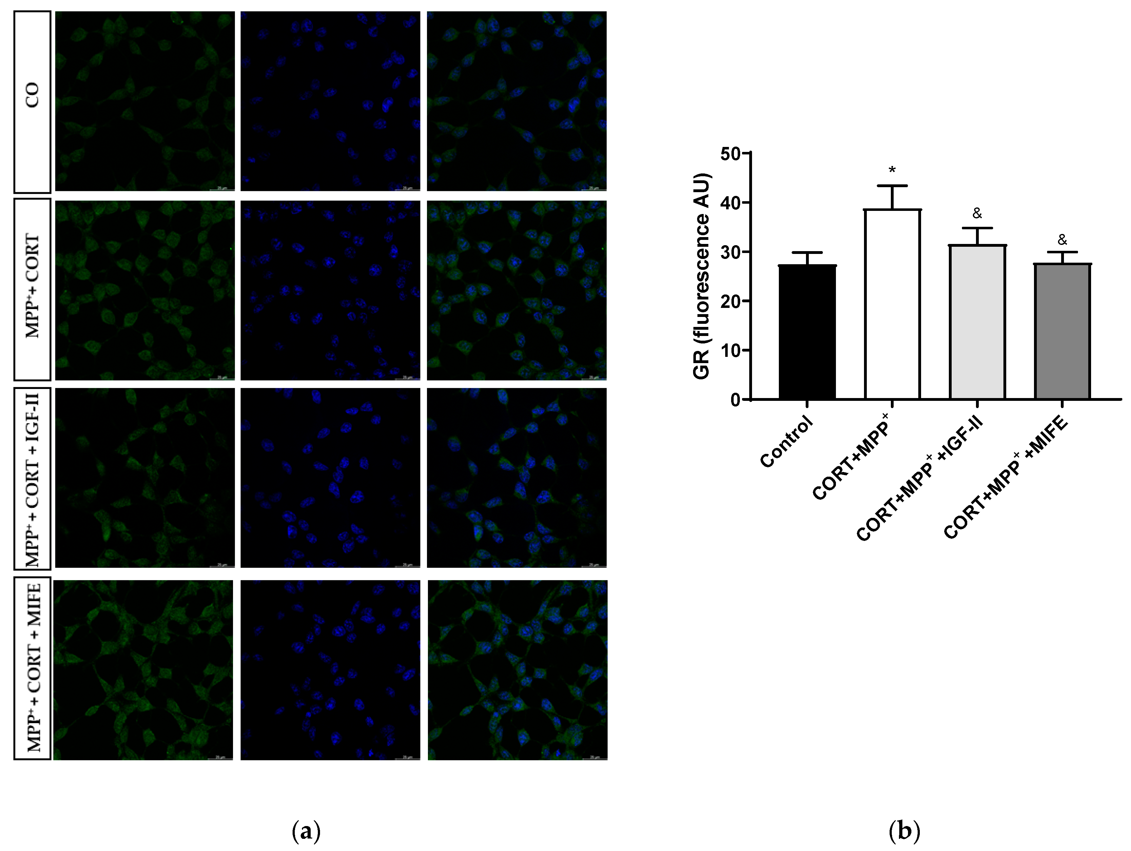Antioxidants 11 00041 g008