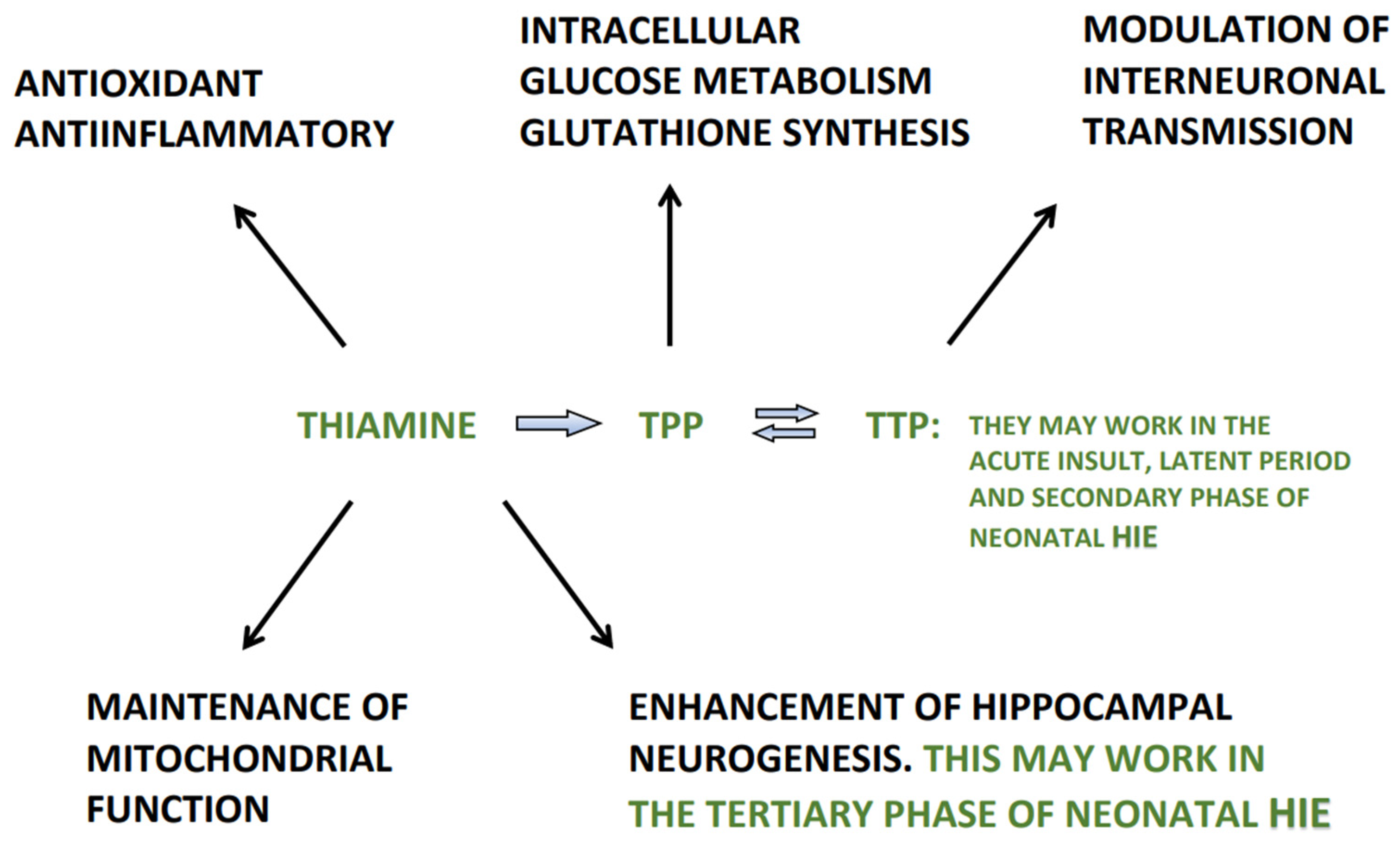 Antioxidants 11 00042 g003 Antioxidants 11 00042 g003