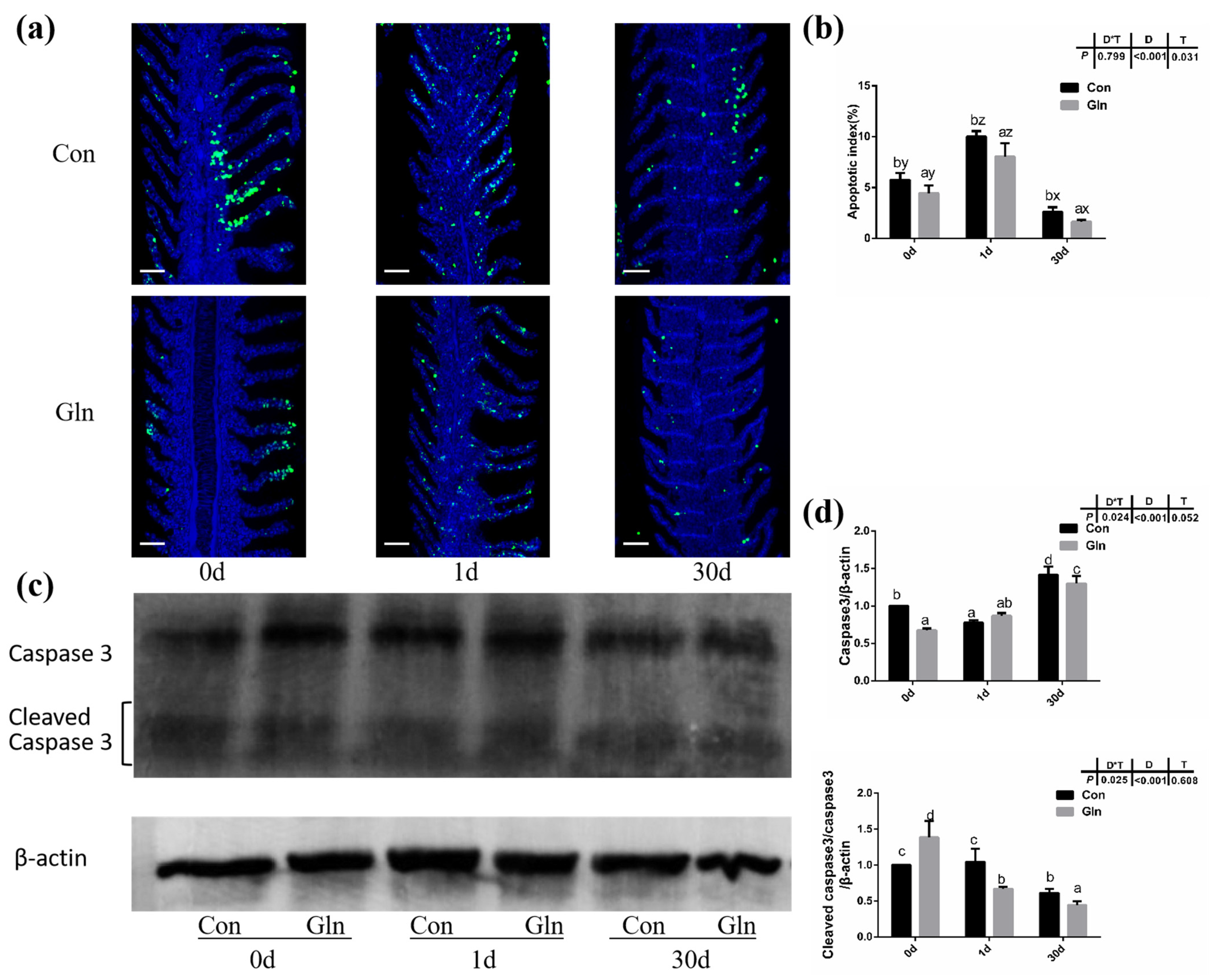 Antioxidants 11 00044 g004