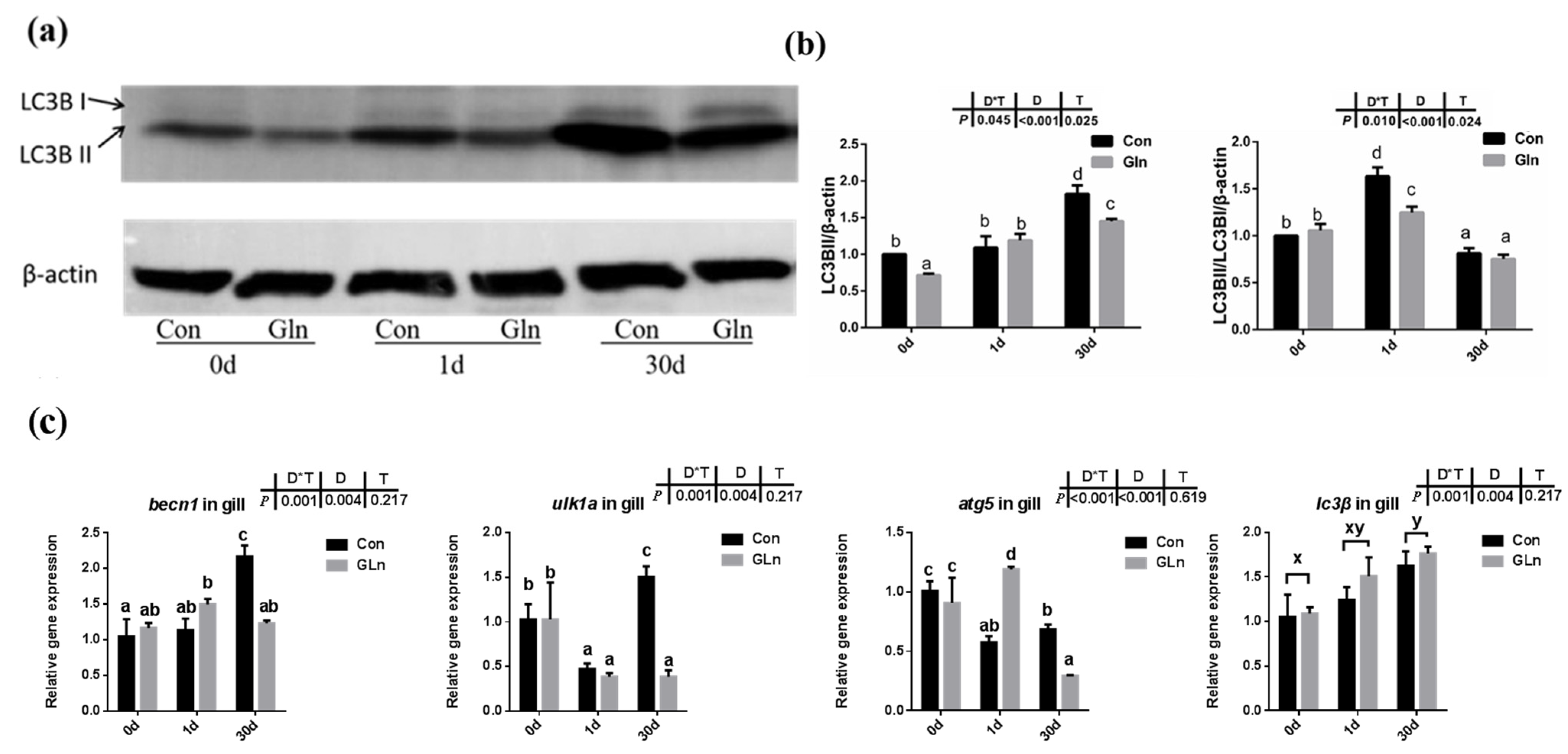 Antioxidants 11 00044 g006