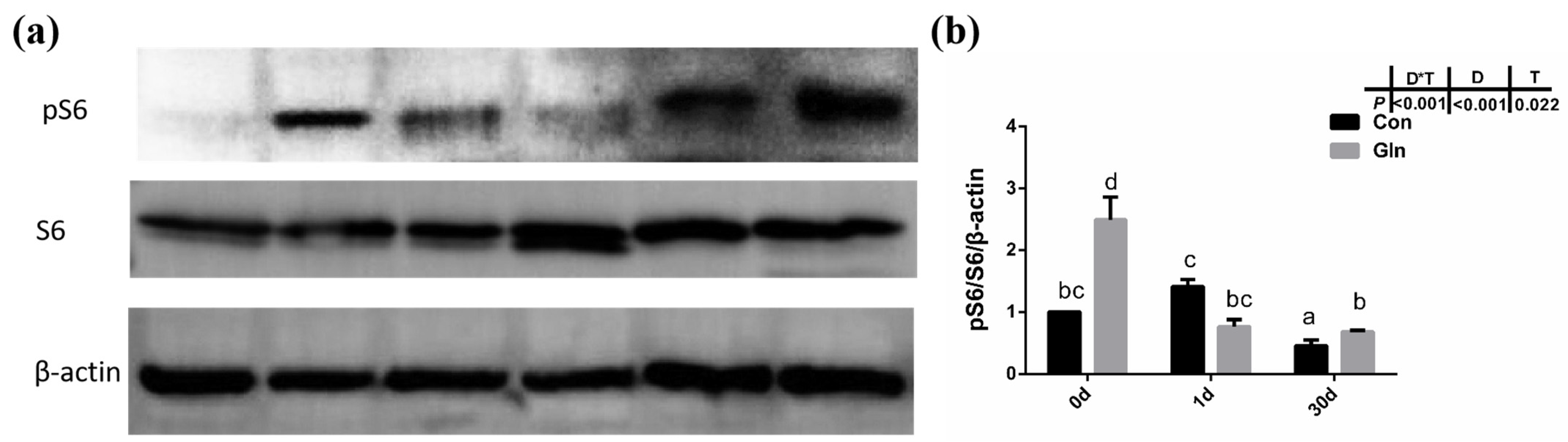 Antioxidants 11 00044 g007