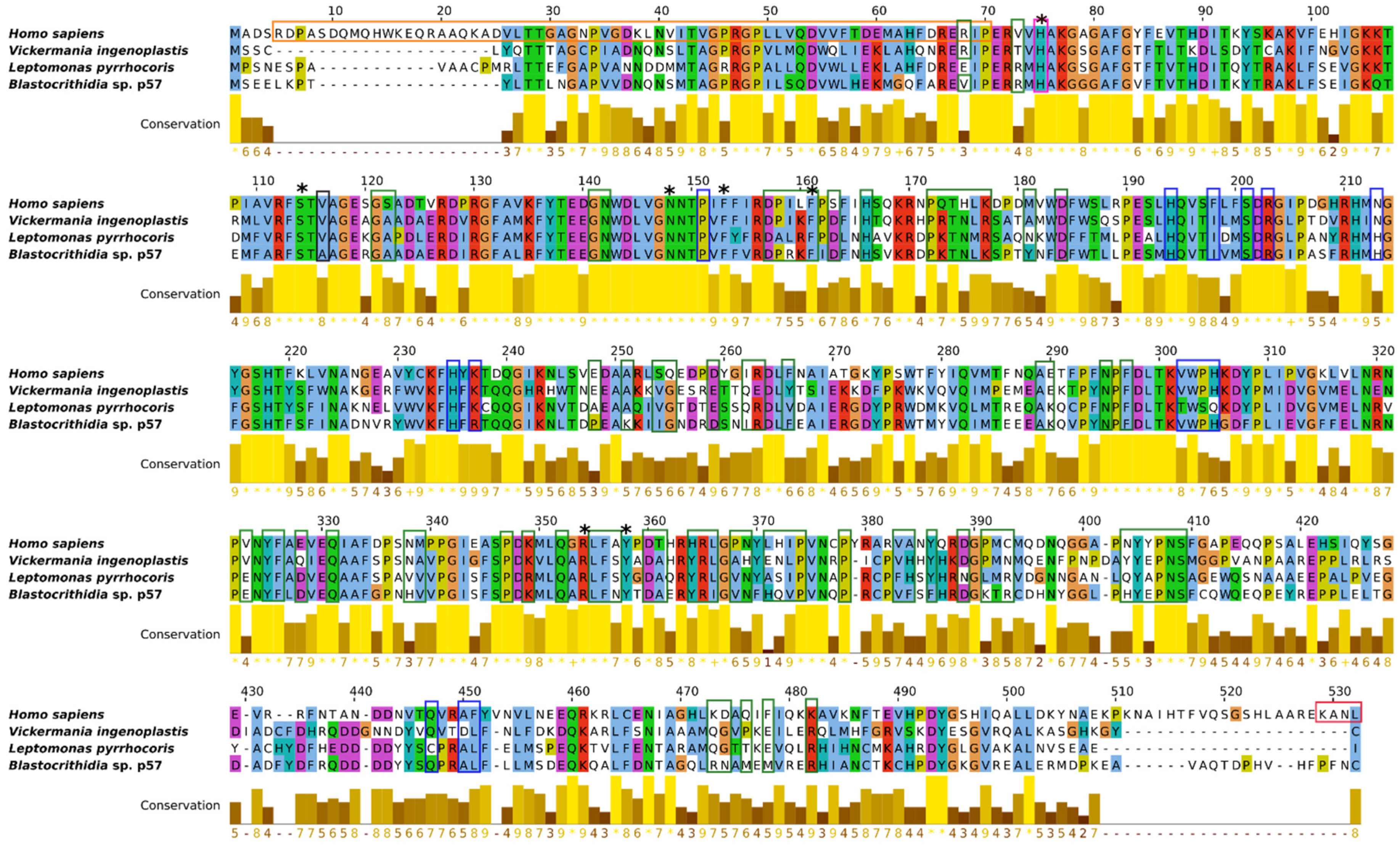 Antioxidants 11 00046 g002