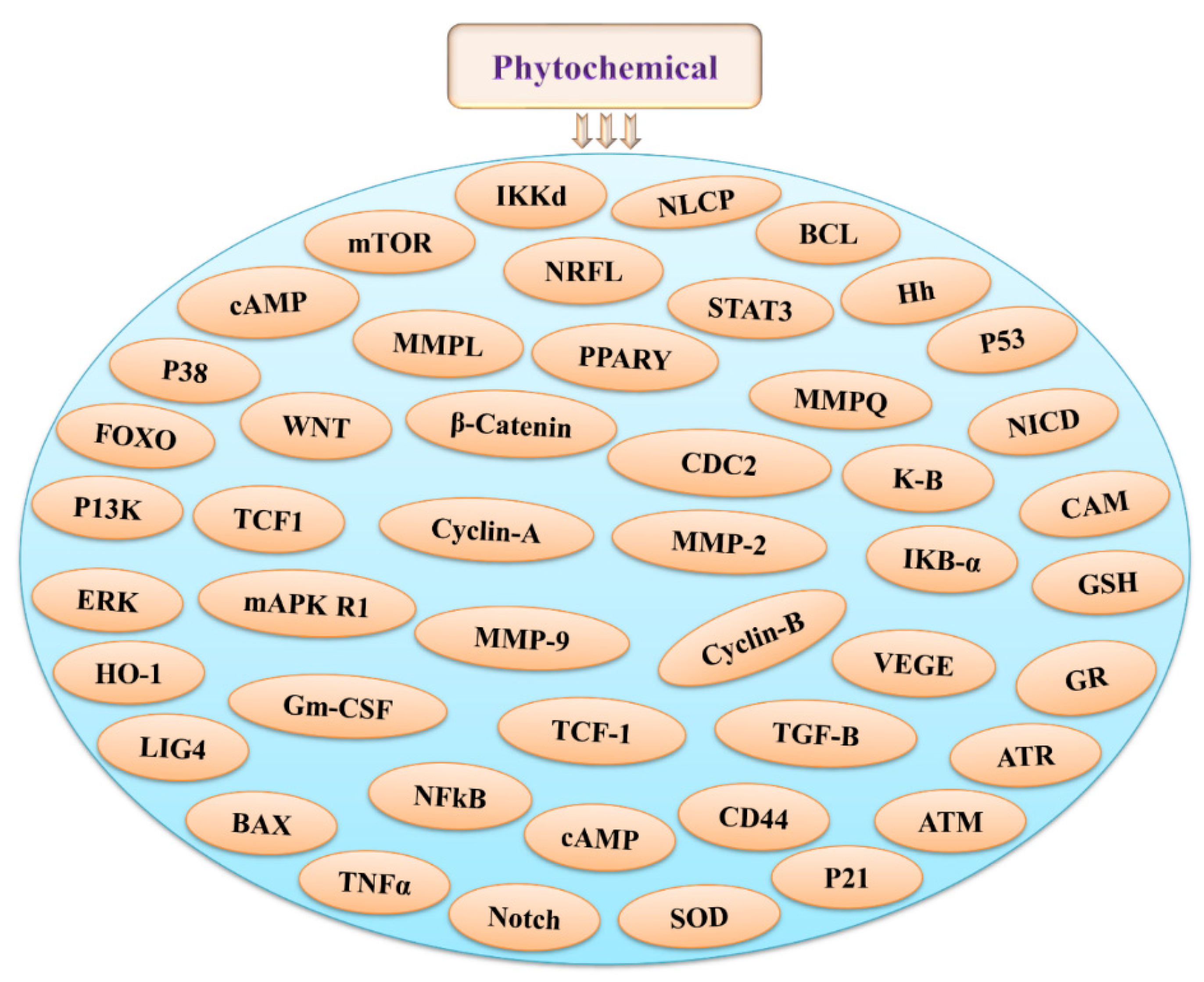 Antioxidants 11 00049 g002