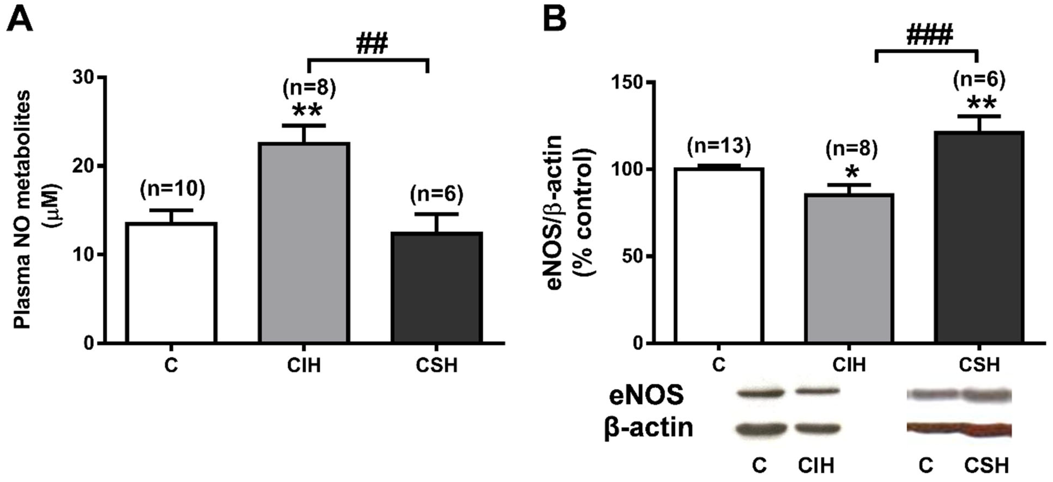 Antioxidants 11 00054 g004