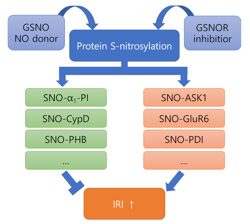 Antioxidants 11 00057 g002