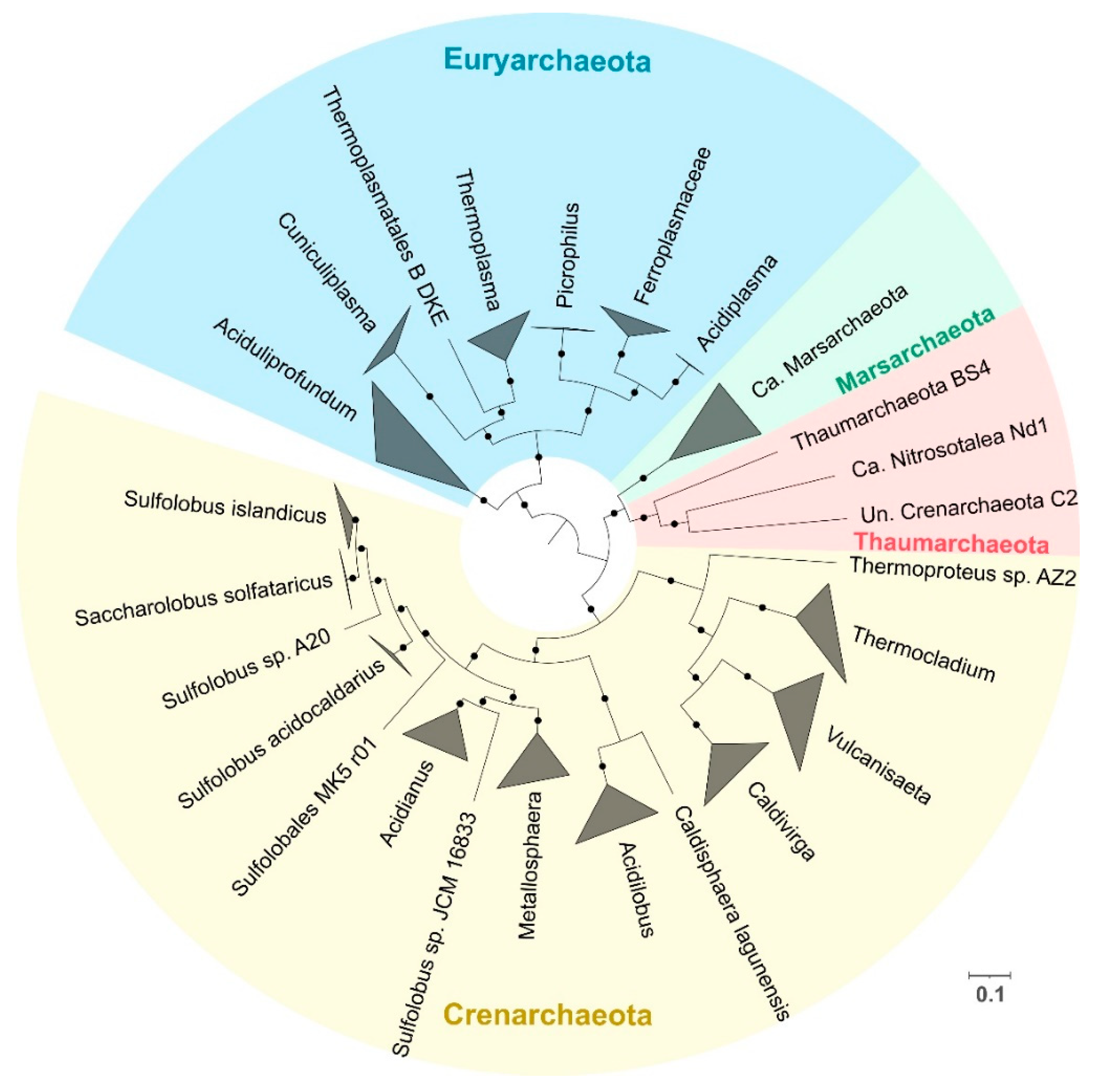 Antioxidants 11 00059 g001