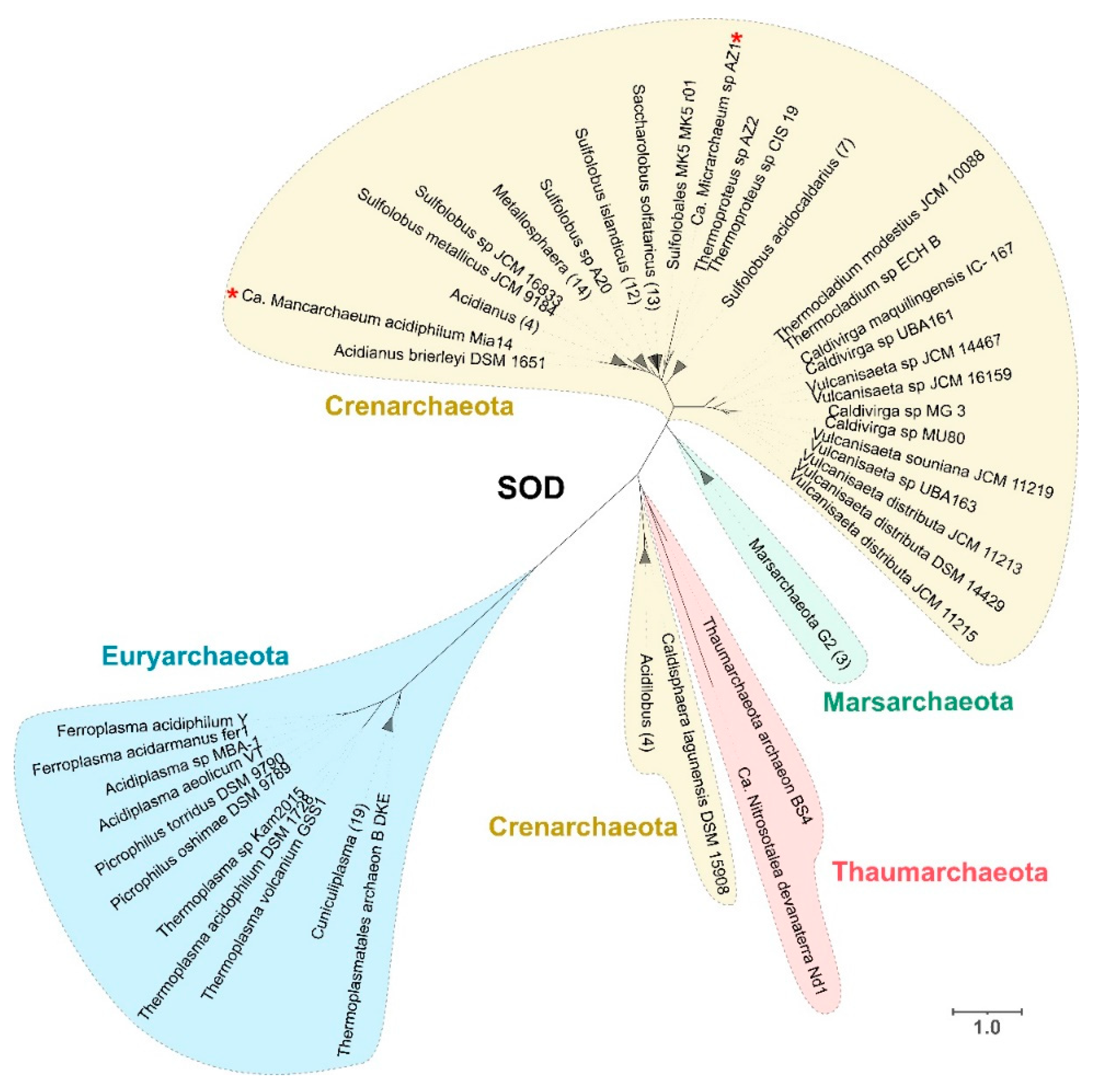 Antioxidants 11 00059 g002