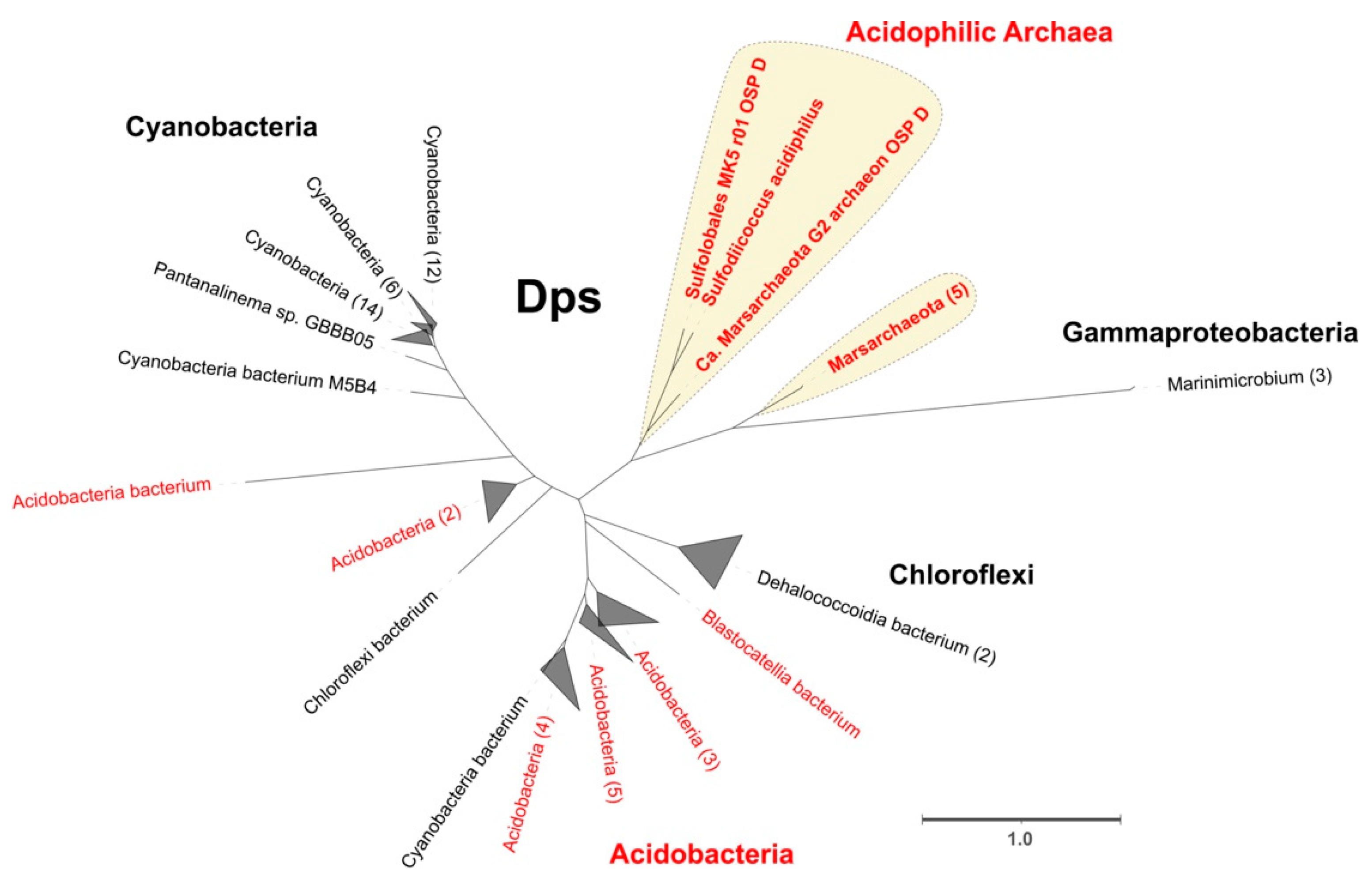 Antioxidants 11 00059 g003