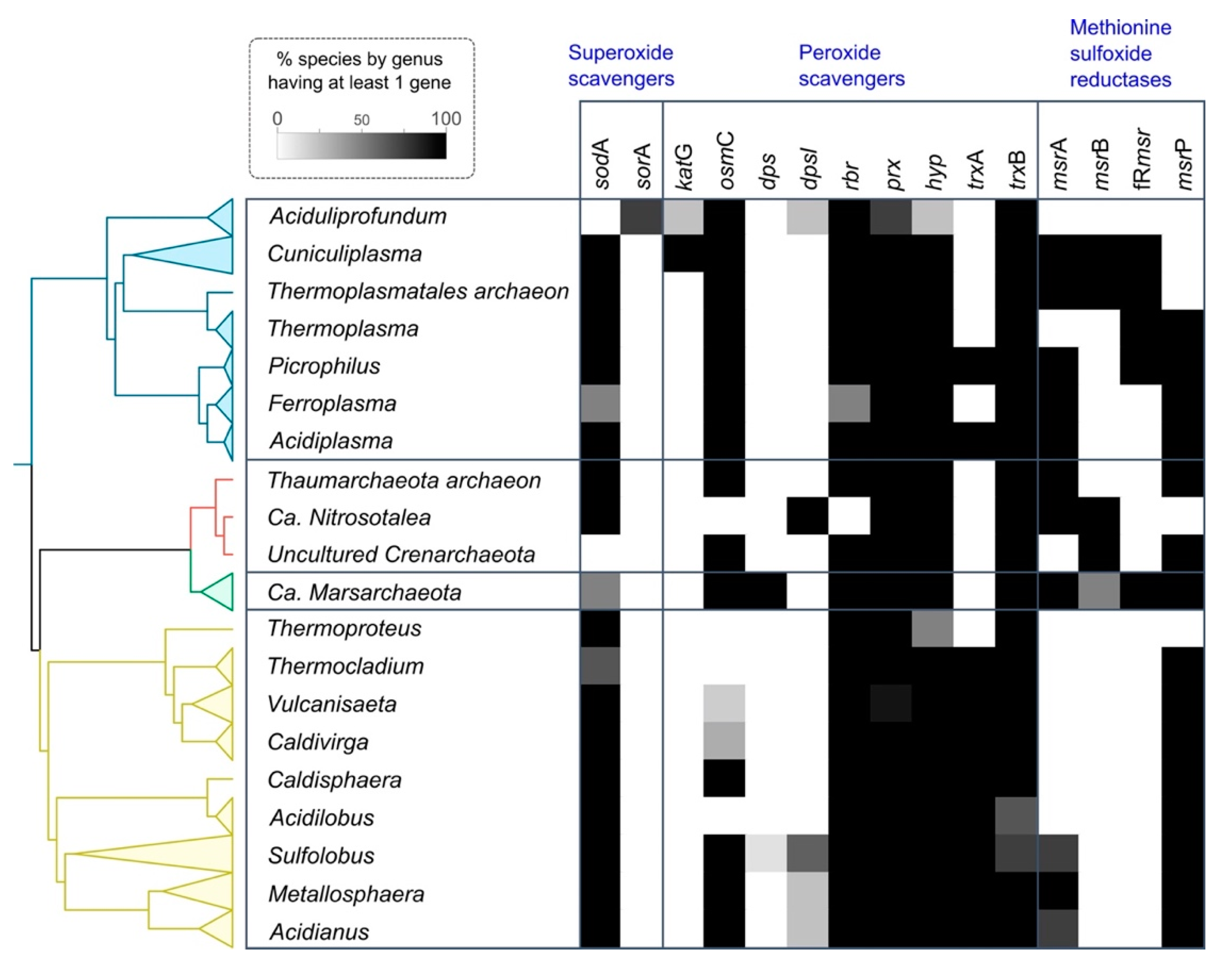 Antioxidants 11 00059 g007