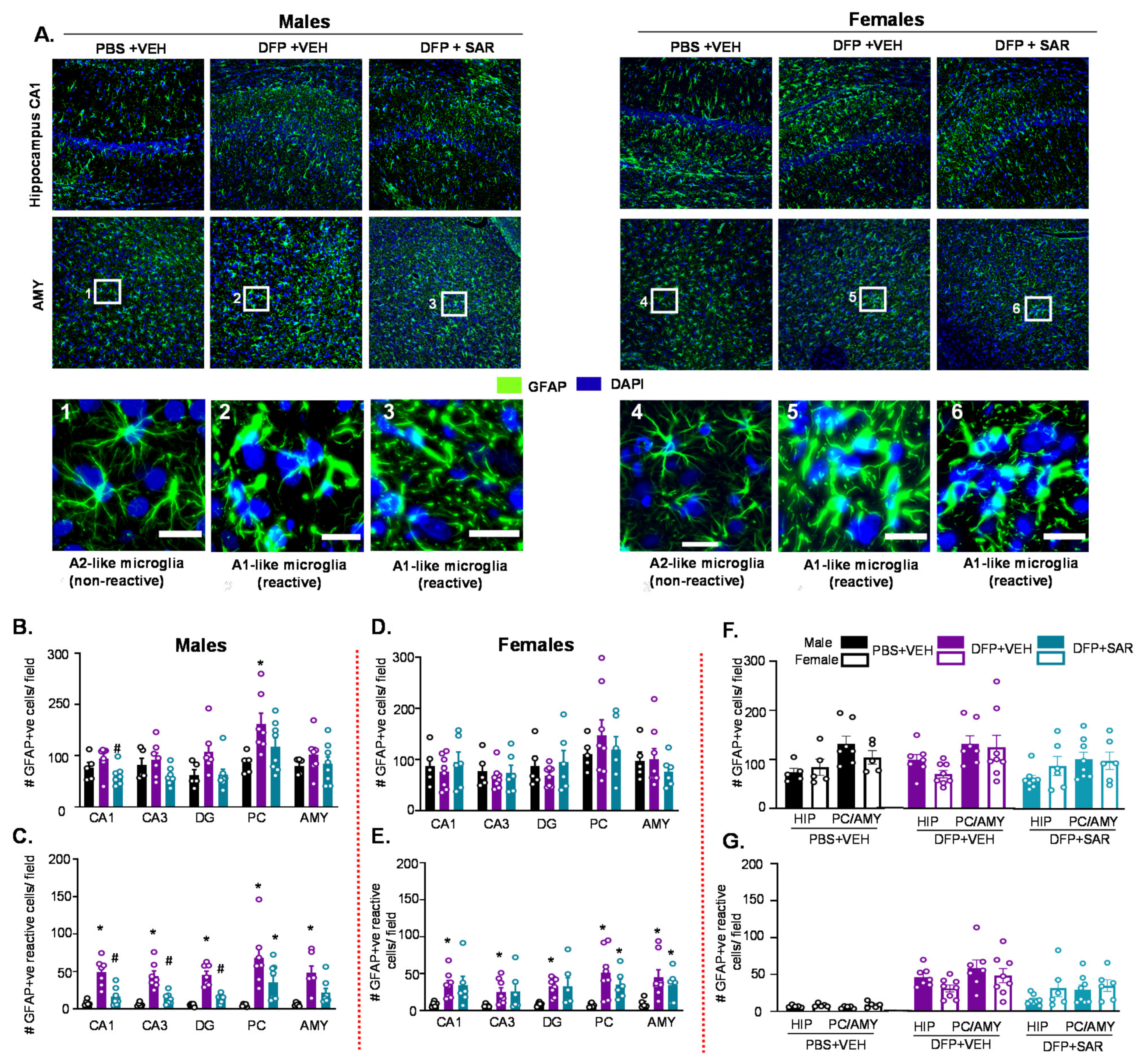 Antioxidants 11 00061 g004