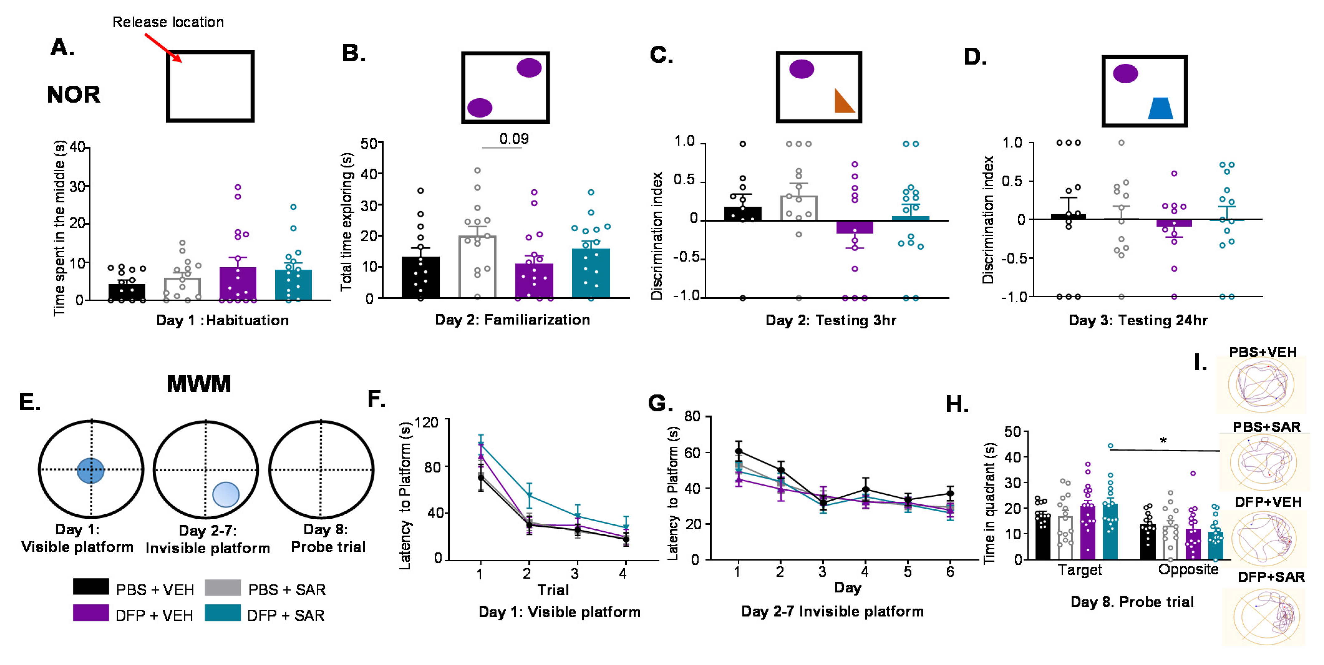Antioxidants 11 00061 g007