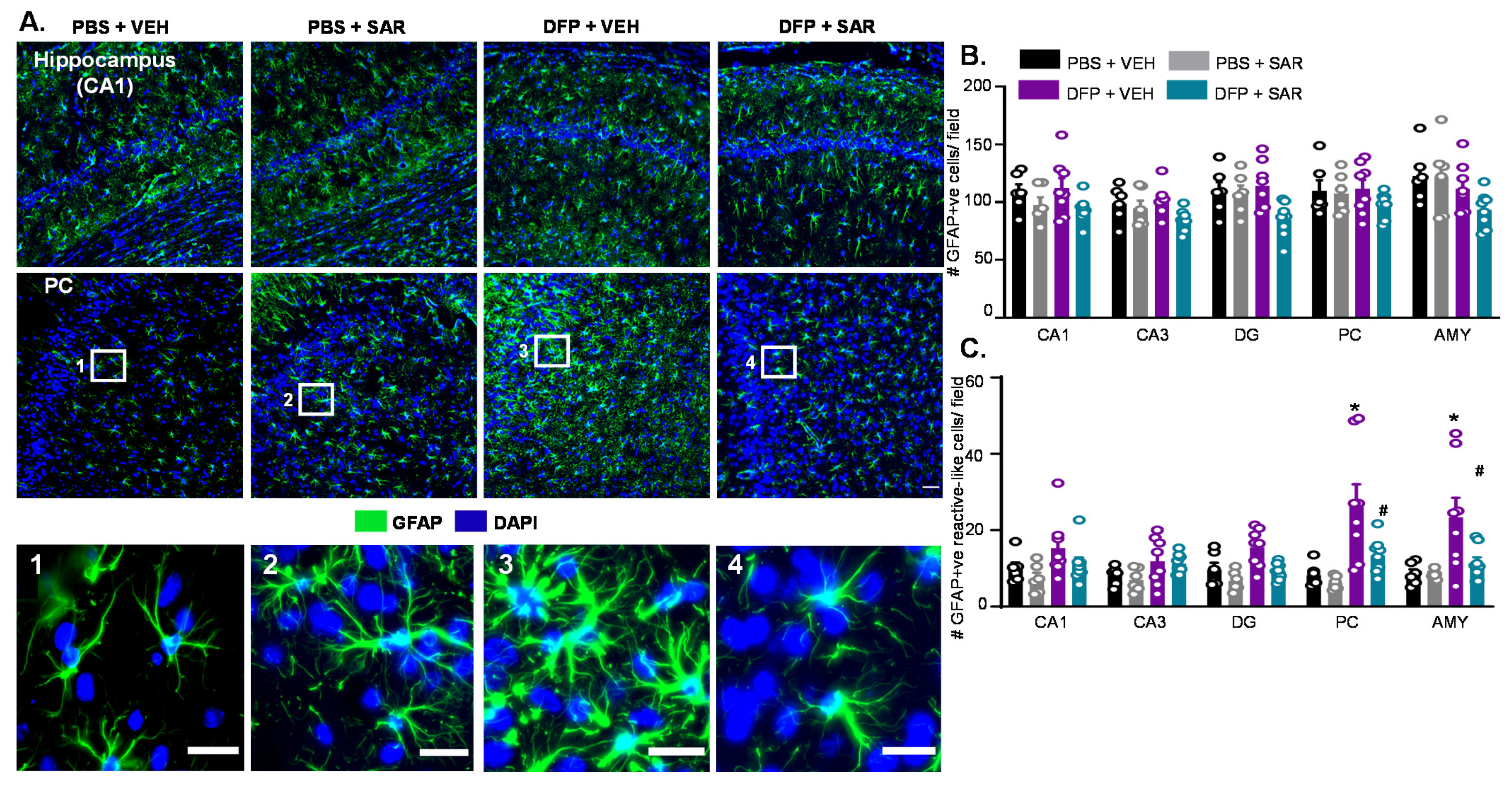 Antioxidants 11 00061 g010