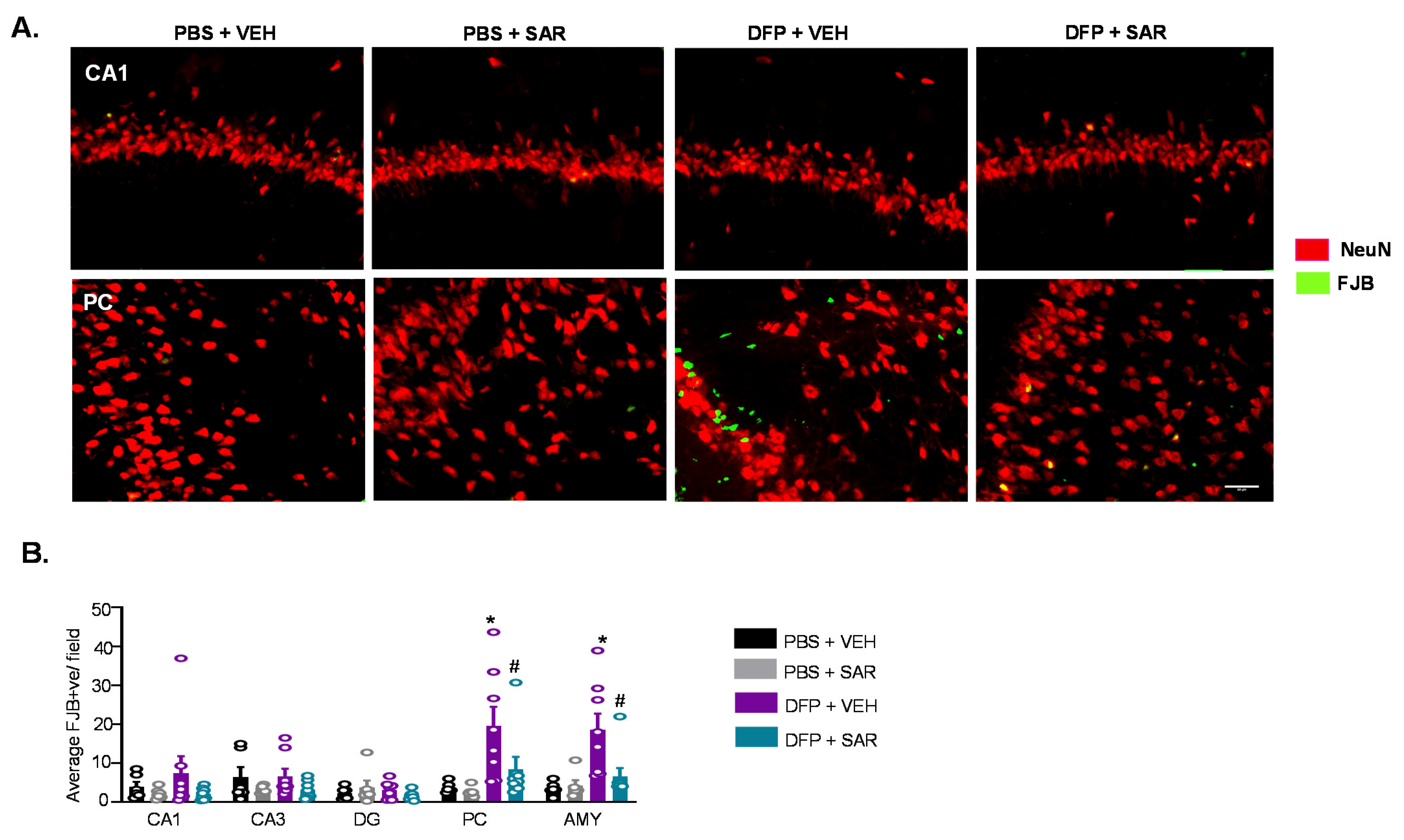 Antioxidants 11 00061 g011