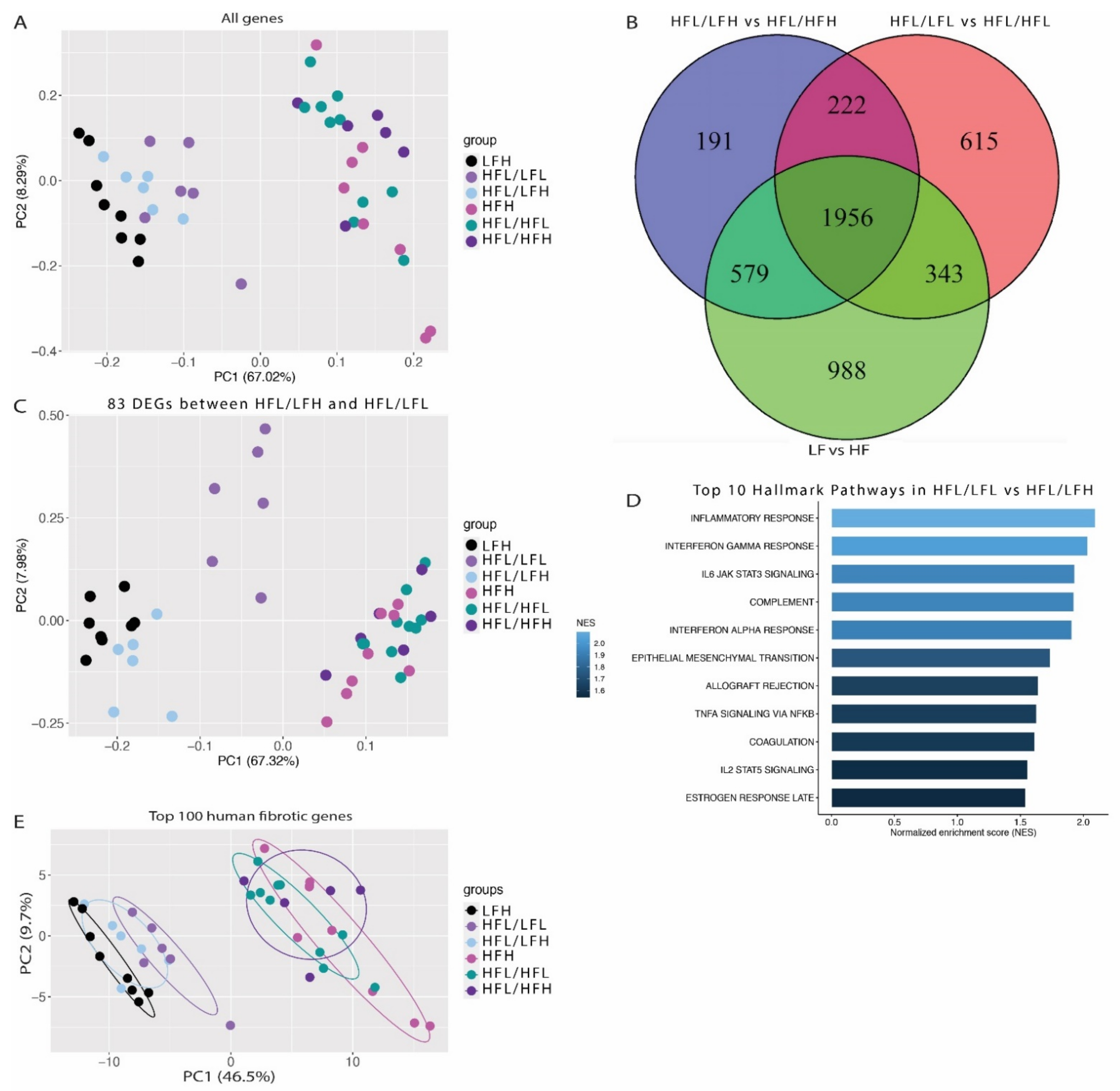 Antioxidants 11 00069 g007 Antioxidants 11 00069 g007