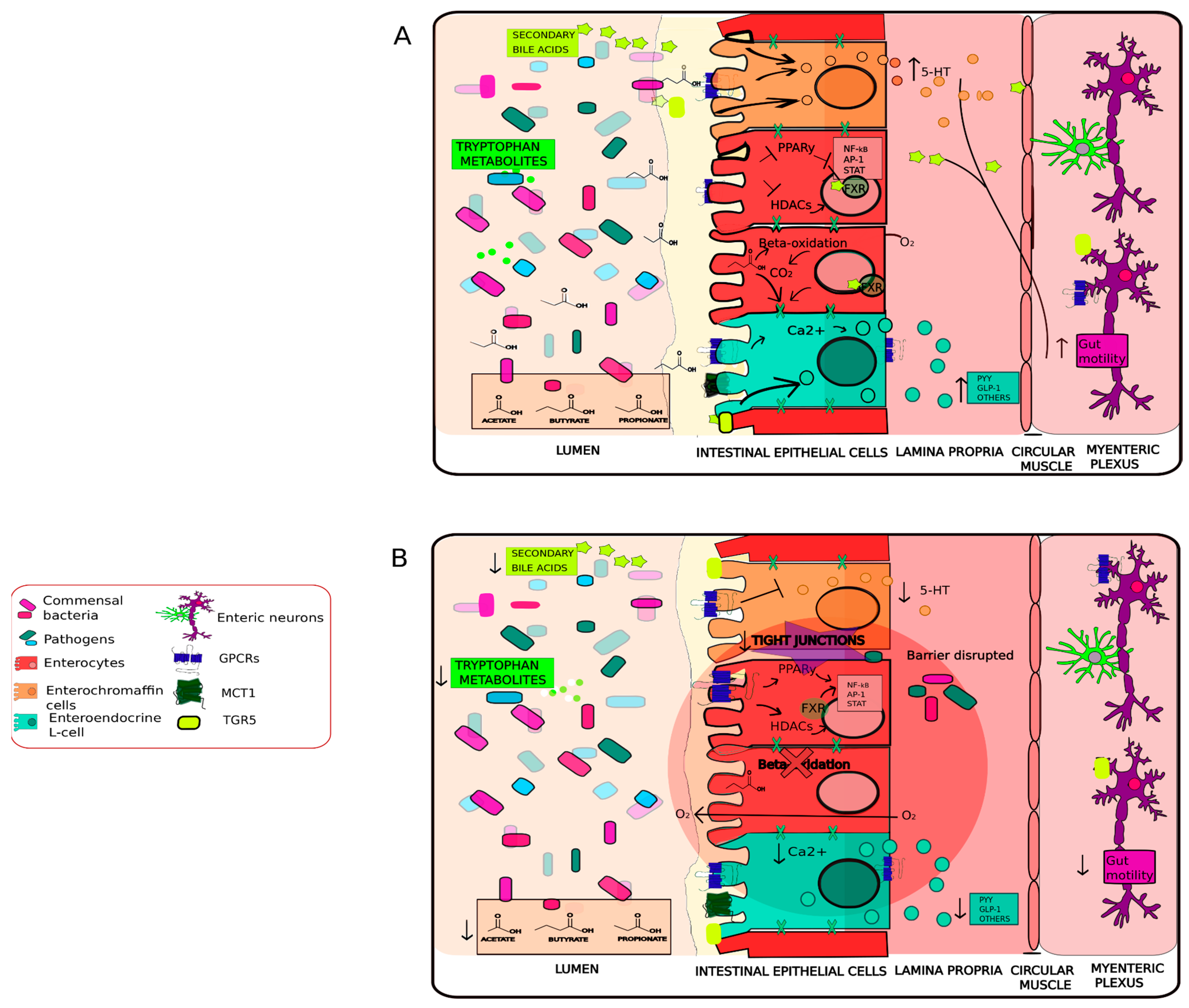 Antioxidants 11 00071 g001