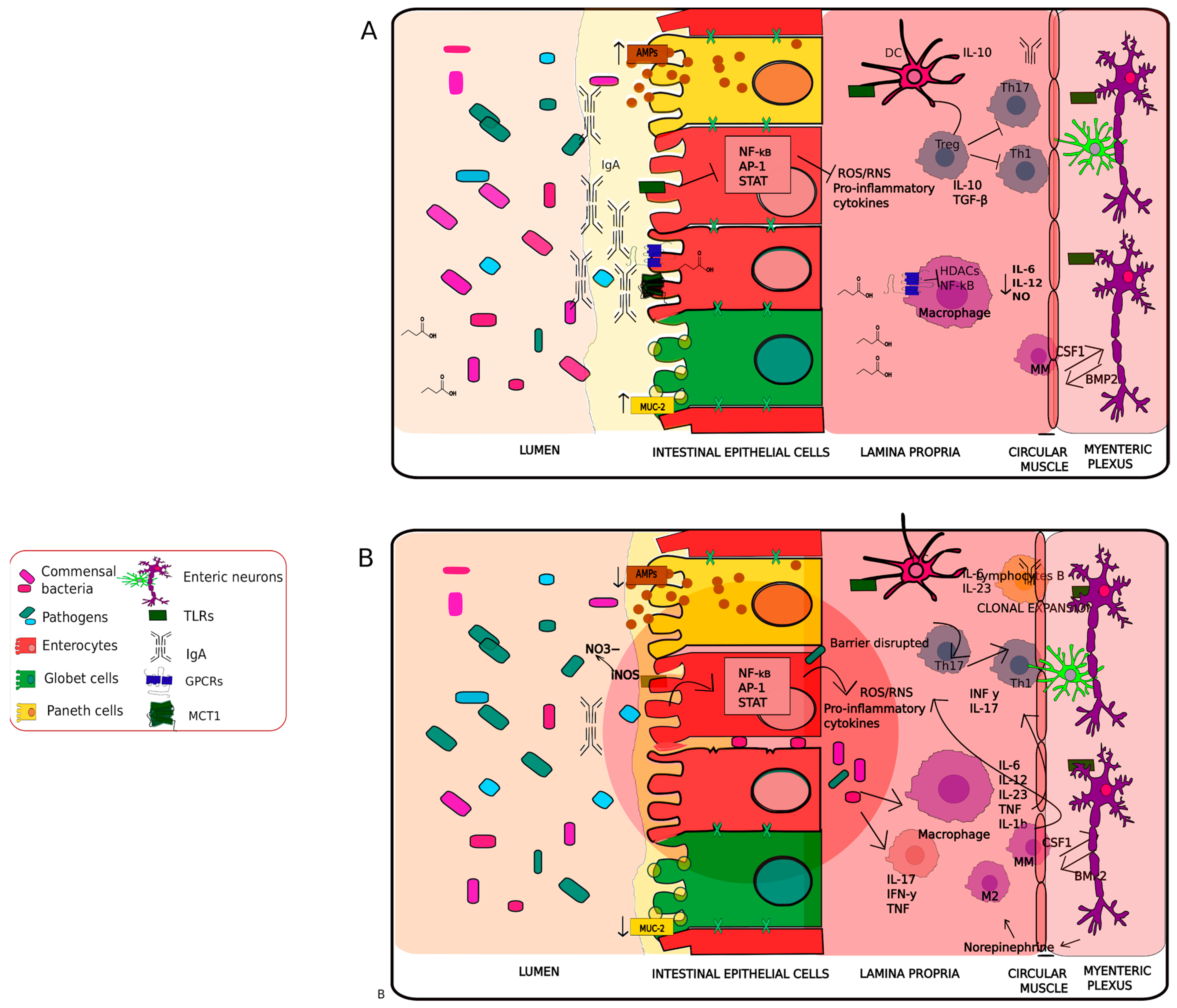 Antioxidants 11 00071 g002