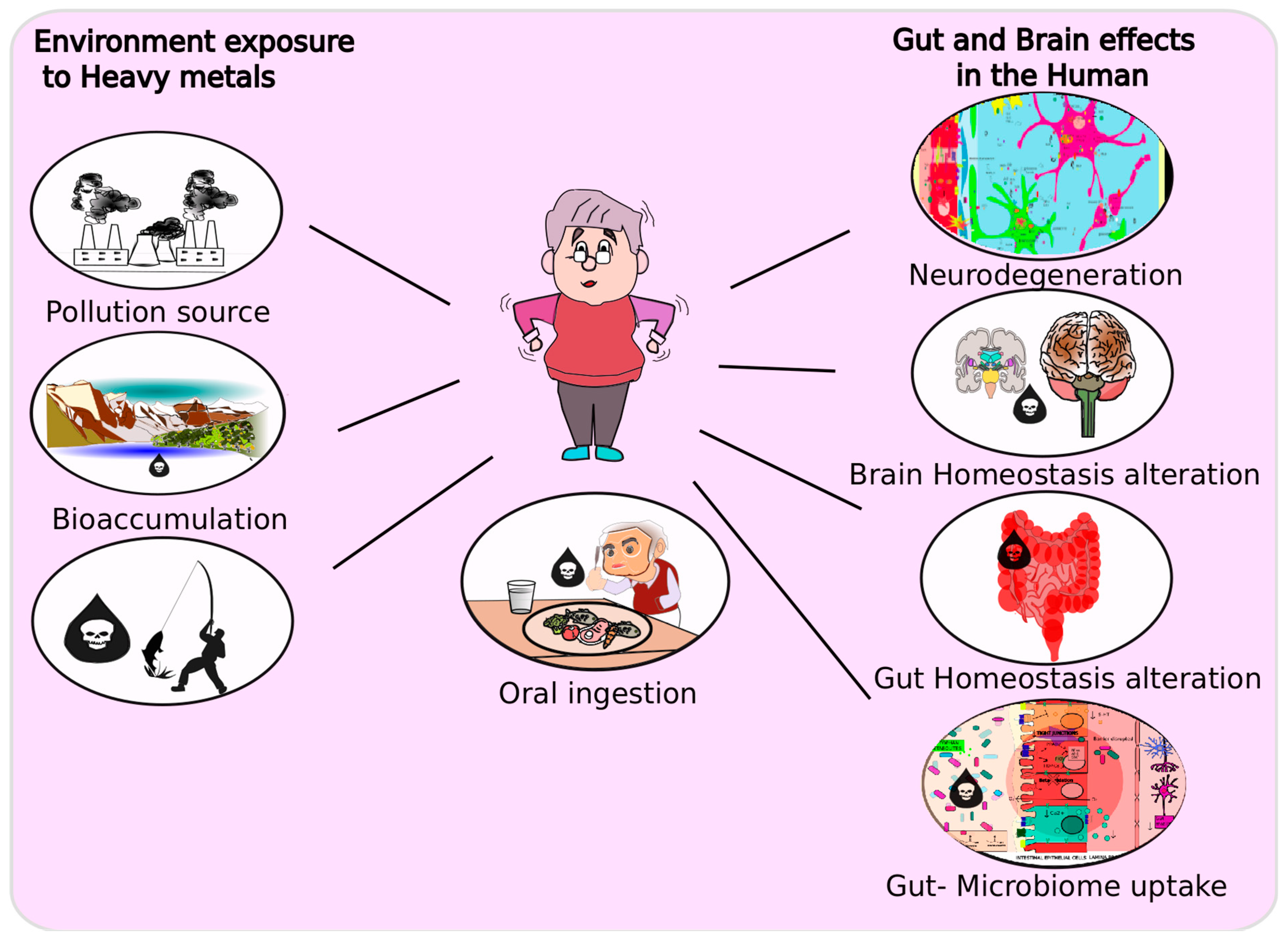 Antioxidants 11 00071 g003