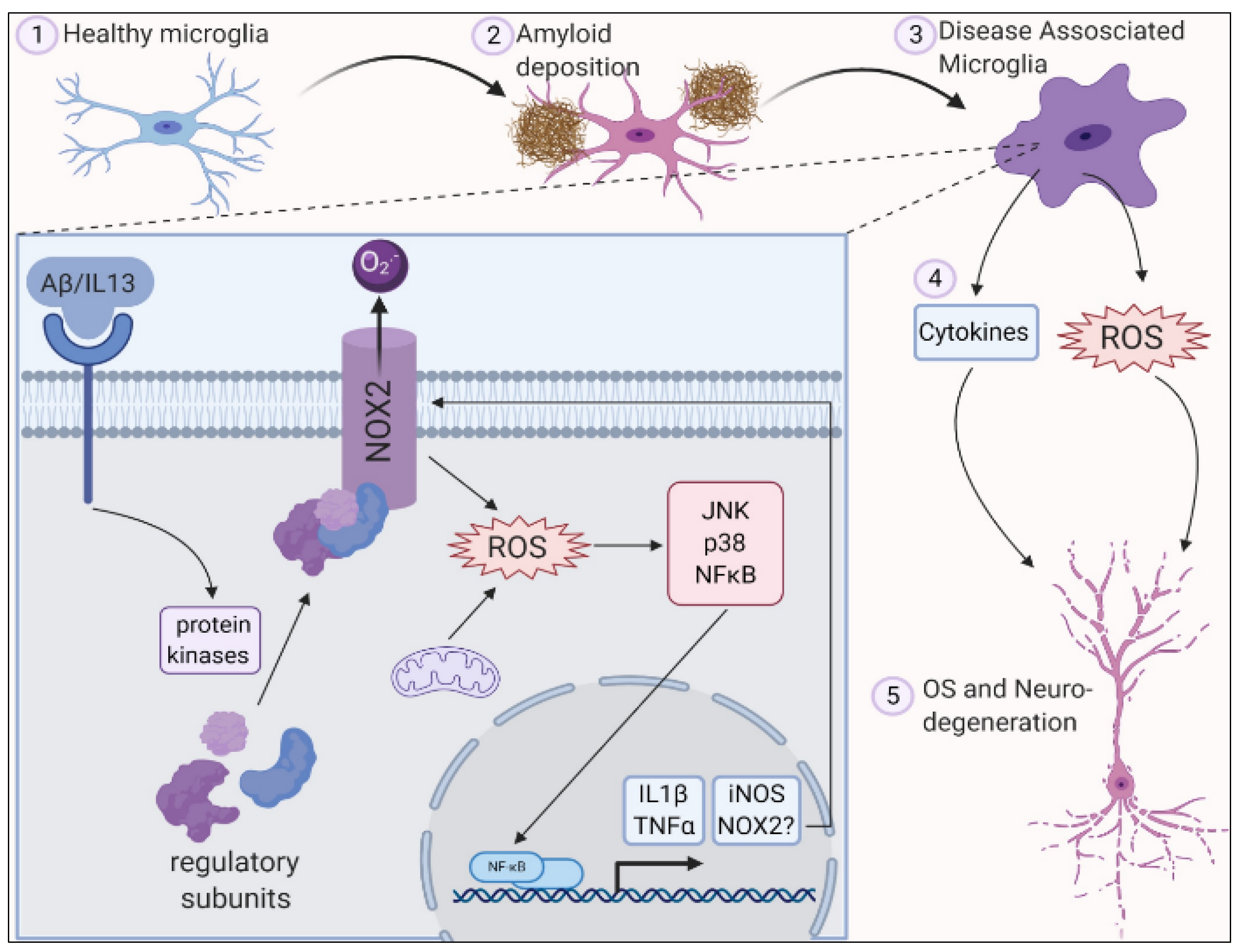 Antioxidants 11 00072 g001