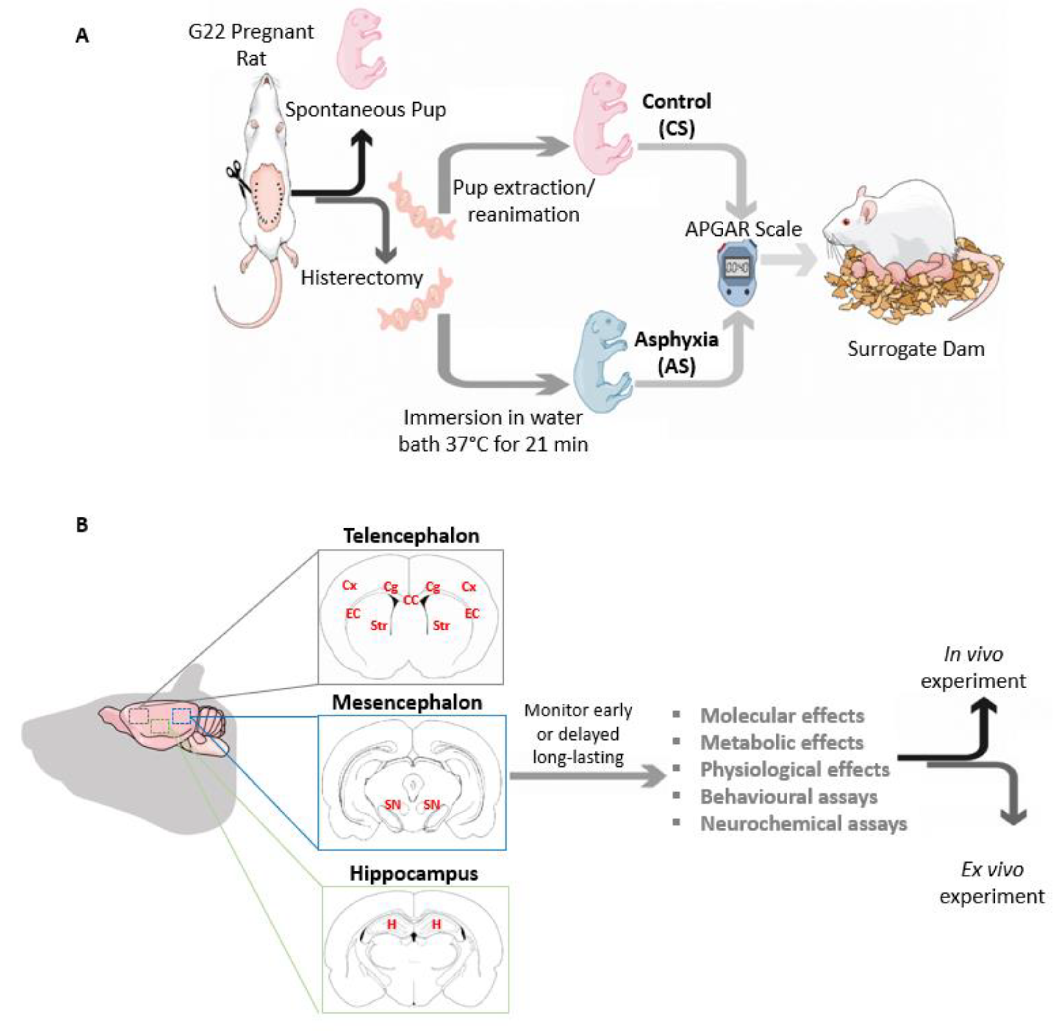 Antioxidants 11 00074 g002