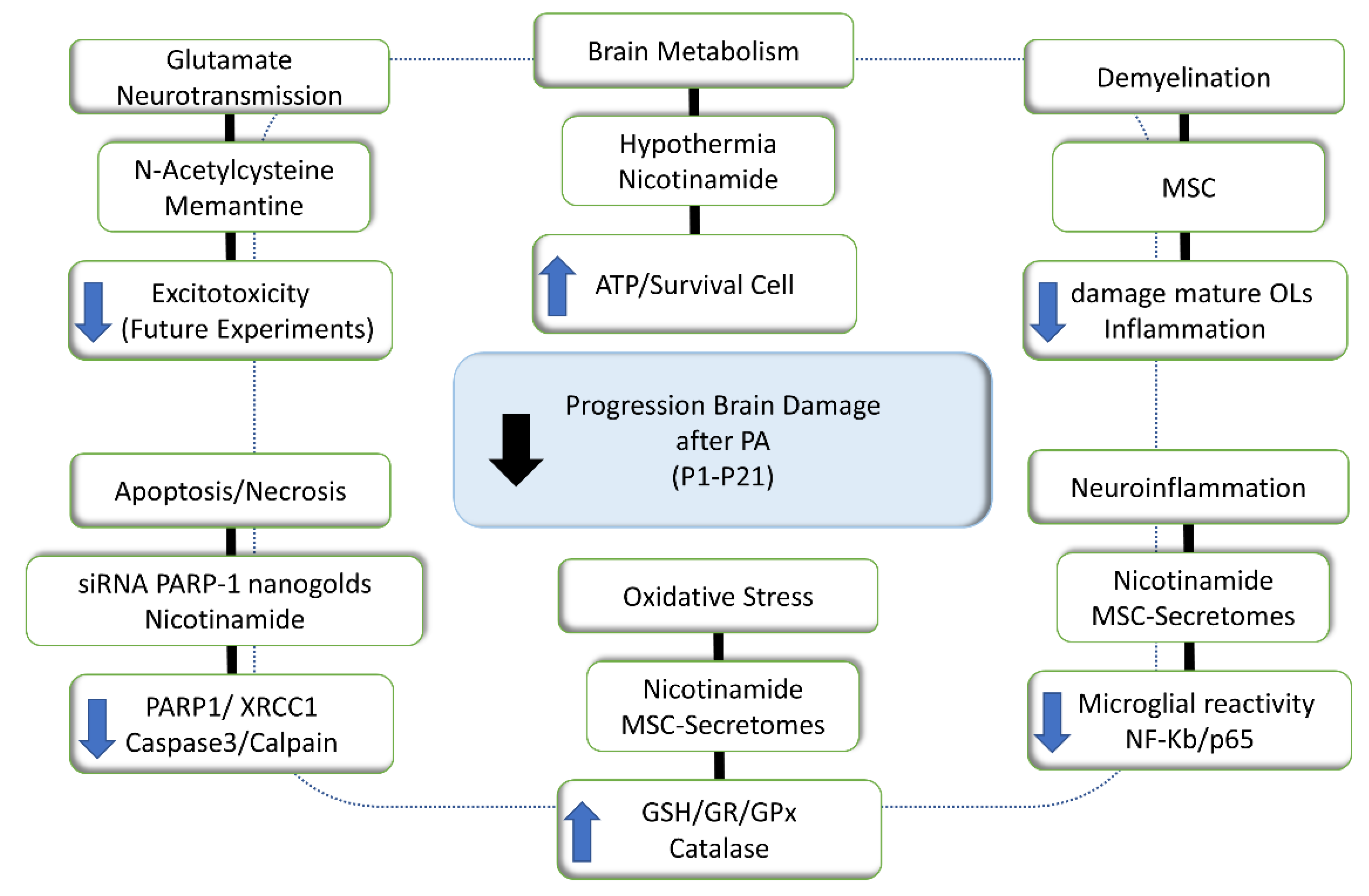 Antioxidants 11 00074 g004