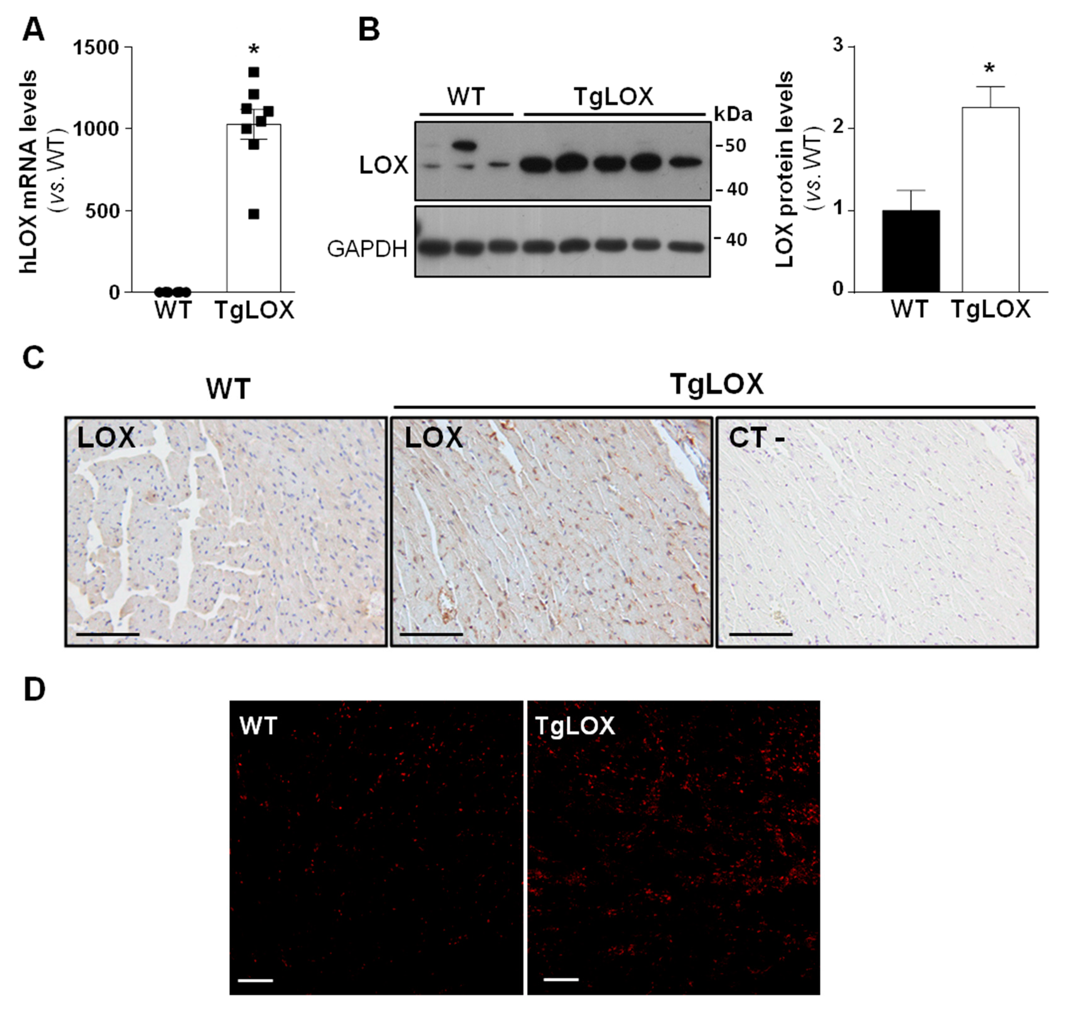 Antioxidants 11 00075 g001
