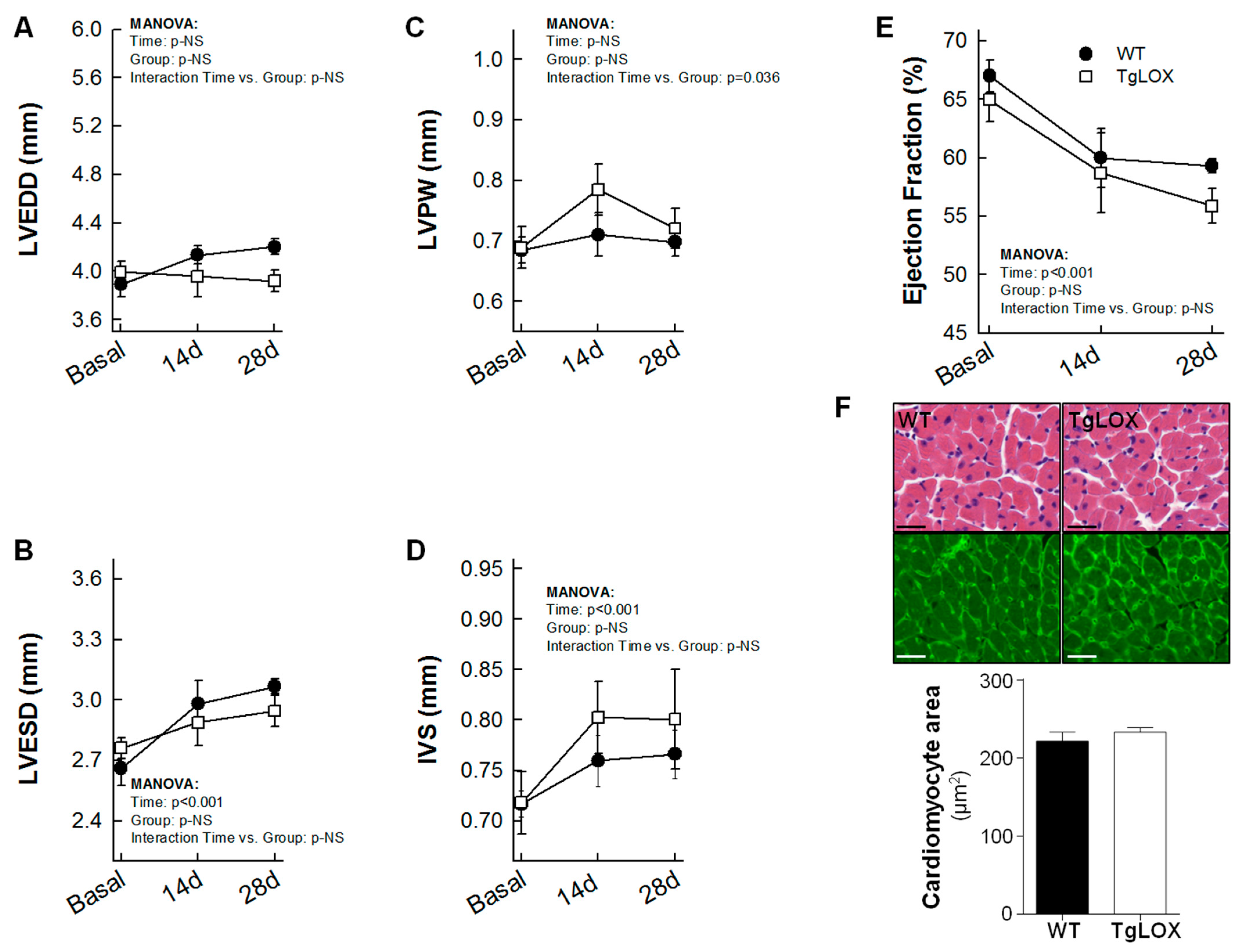 Antioxidants 11 00075 g005