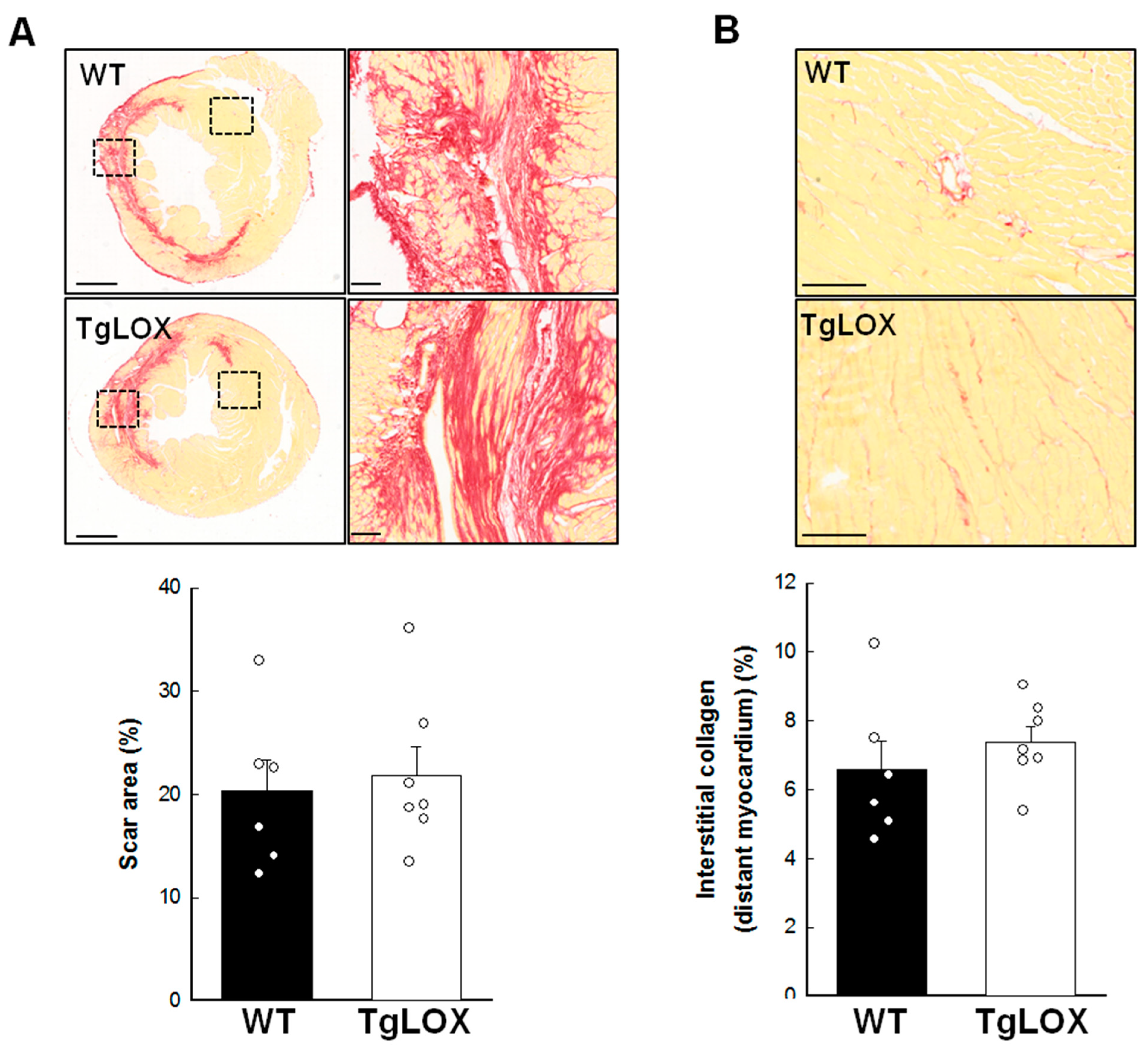 Antioxidants 11 00075 g006