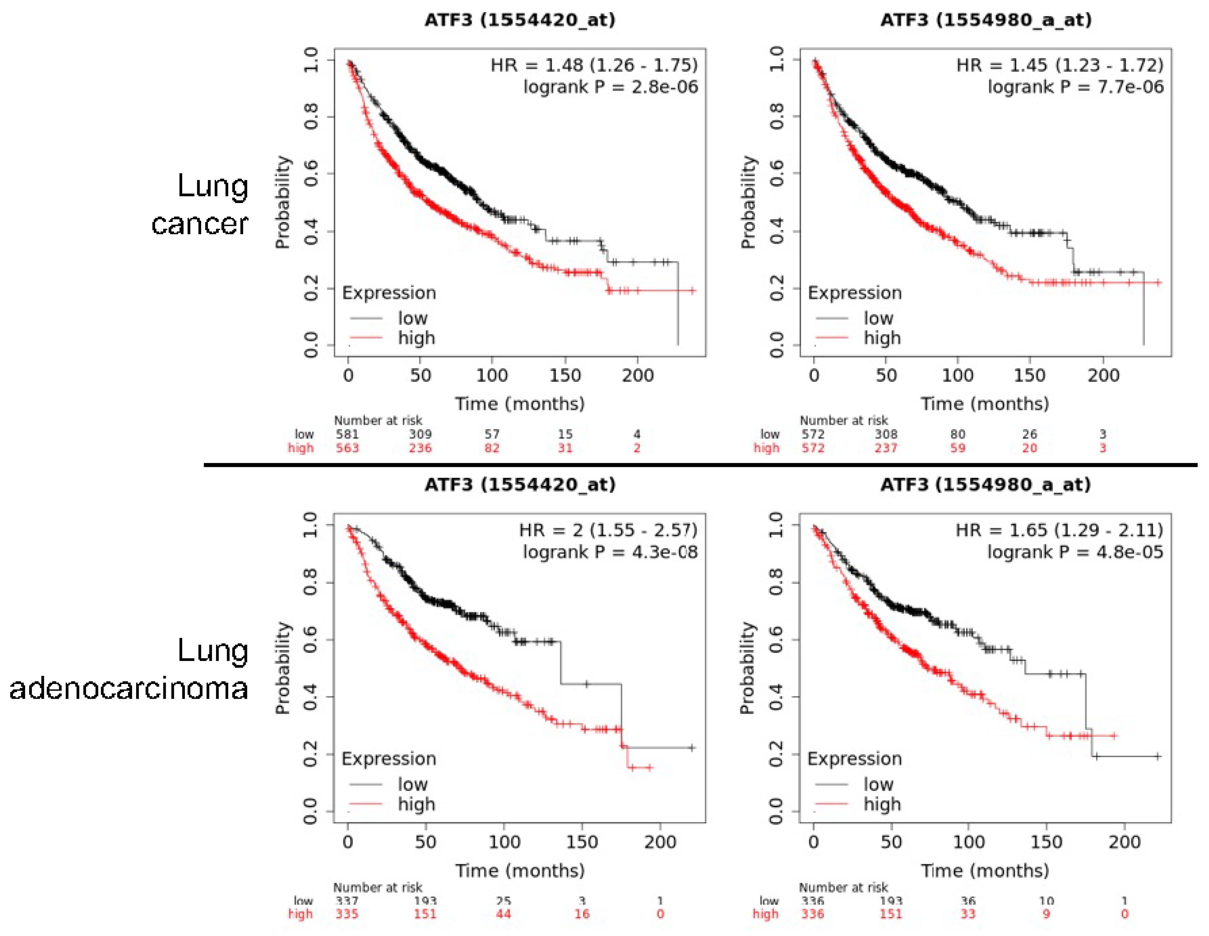 Antioxidants 11 00077 g006