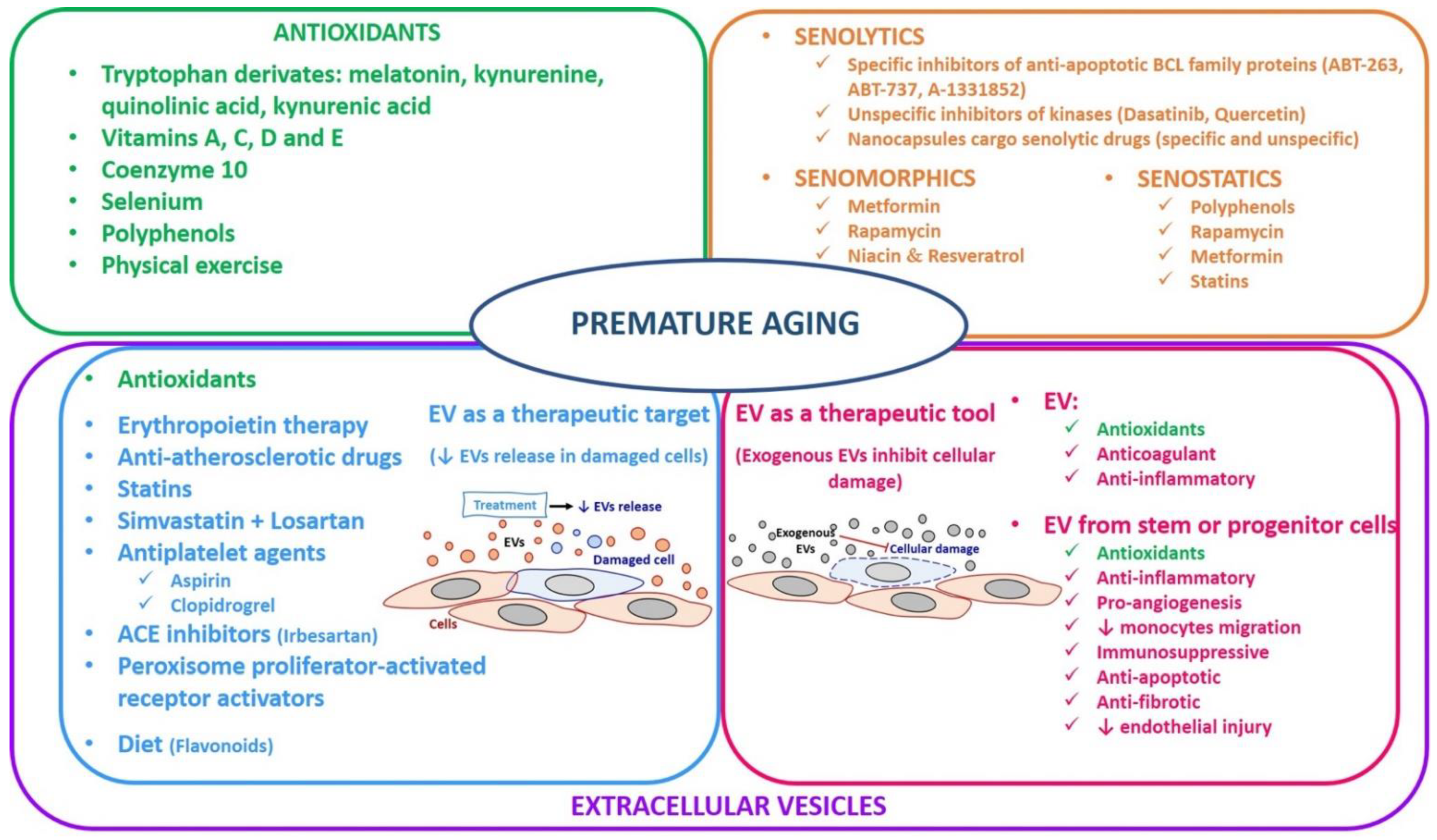 Antioxidants 11 00078 g002
