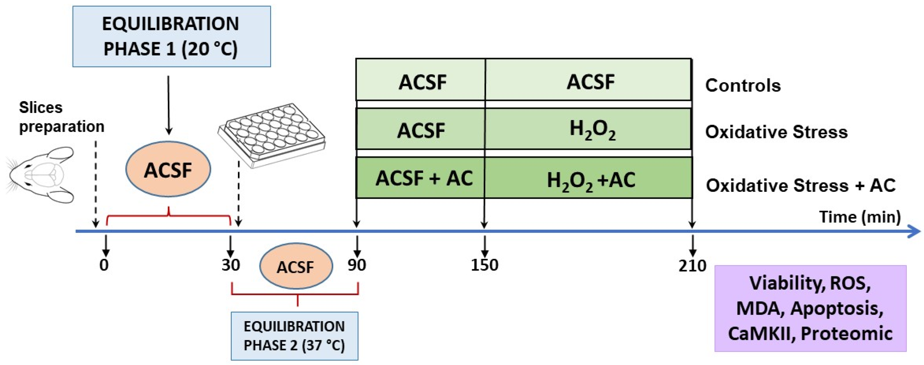Antioxidants 11 00081 g002