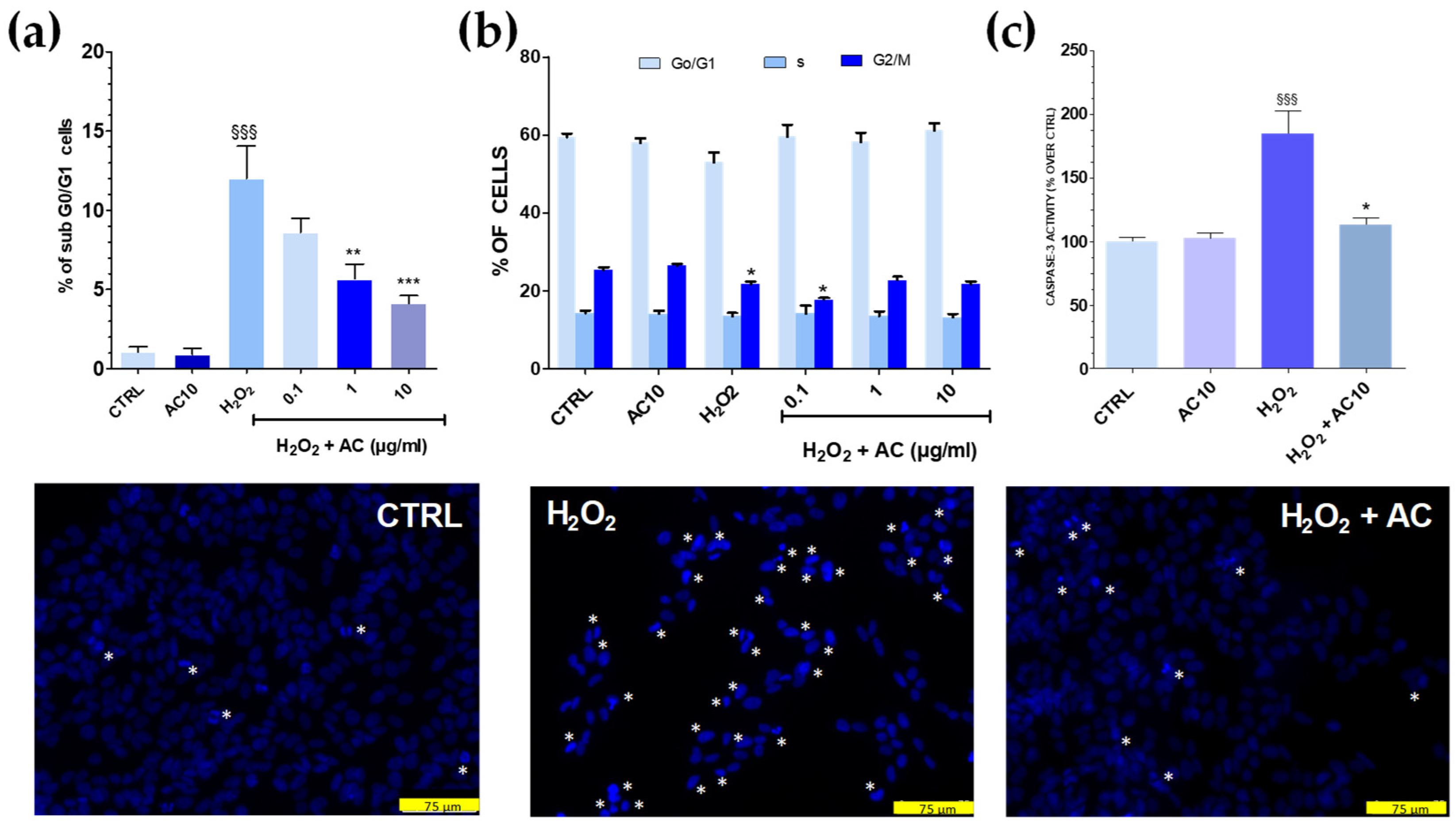 Antioxidants 11 00081 g004