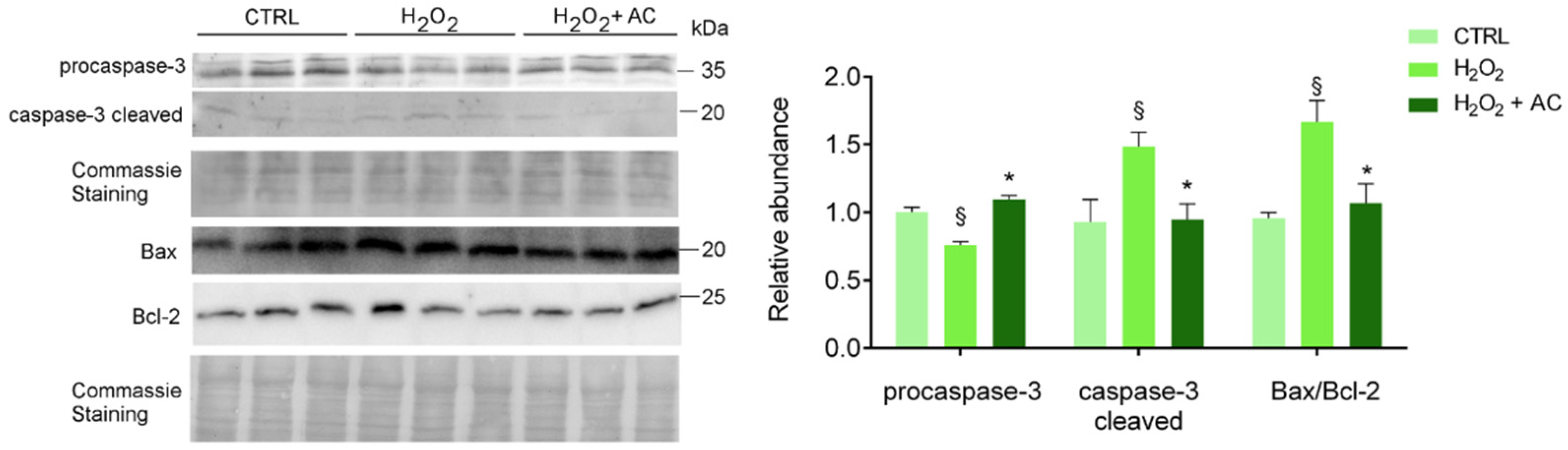 Antioxidants 11 00081 g006
