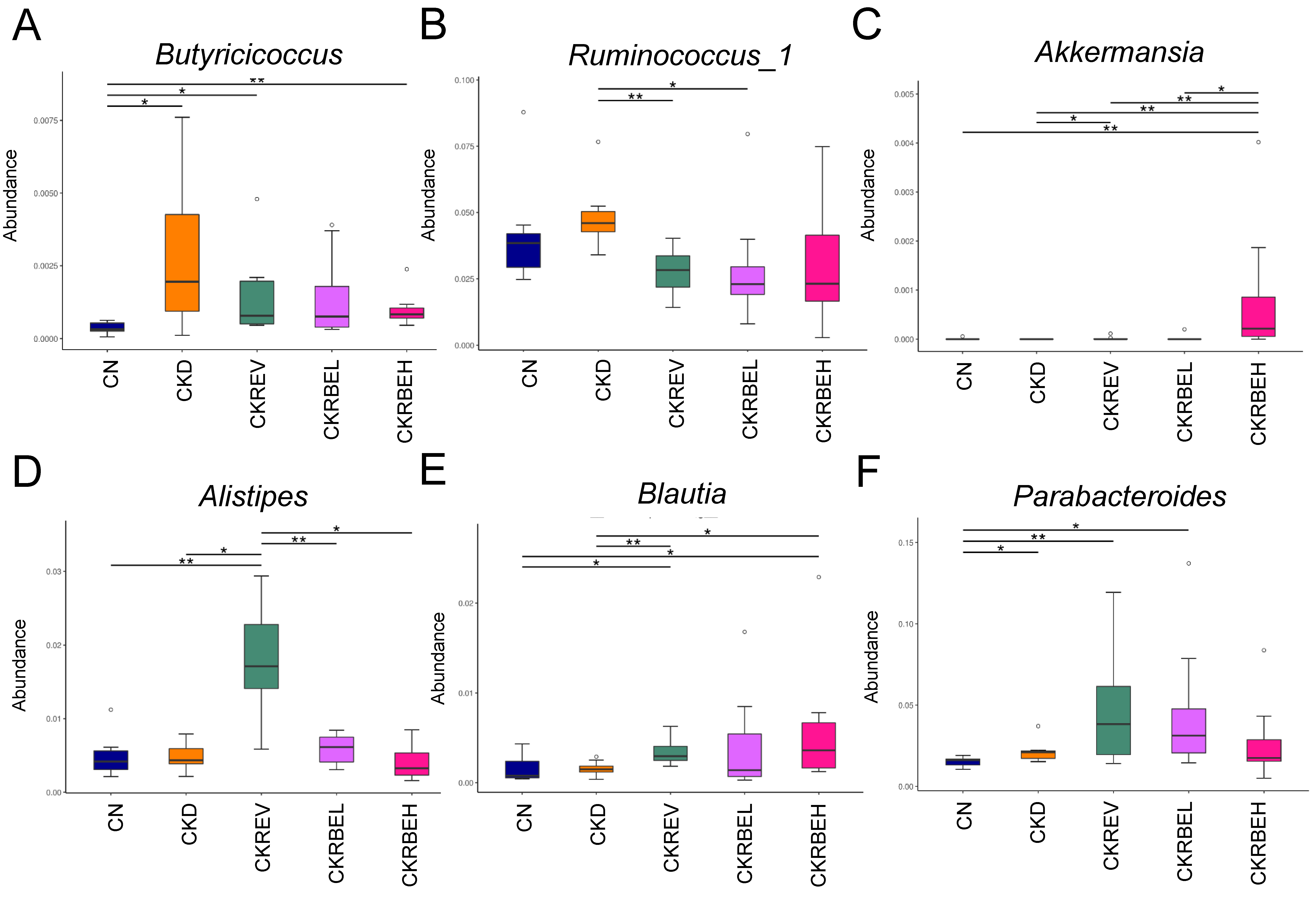 Antioxidants 11 00083 g006