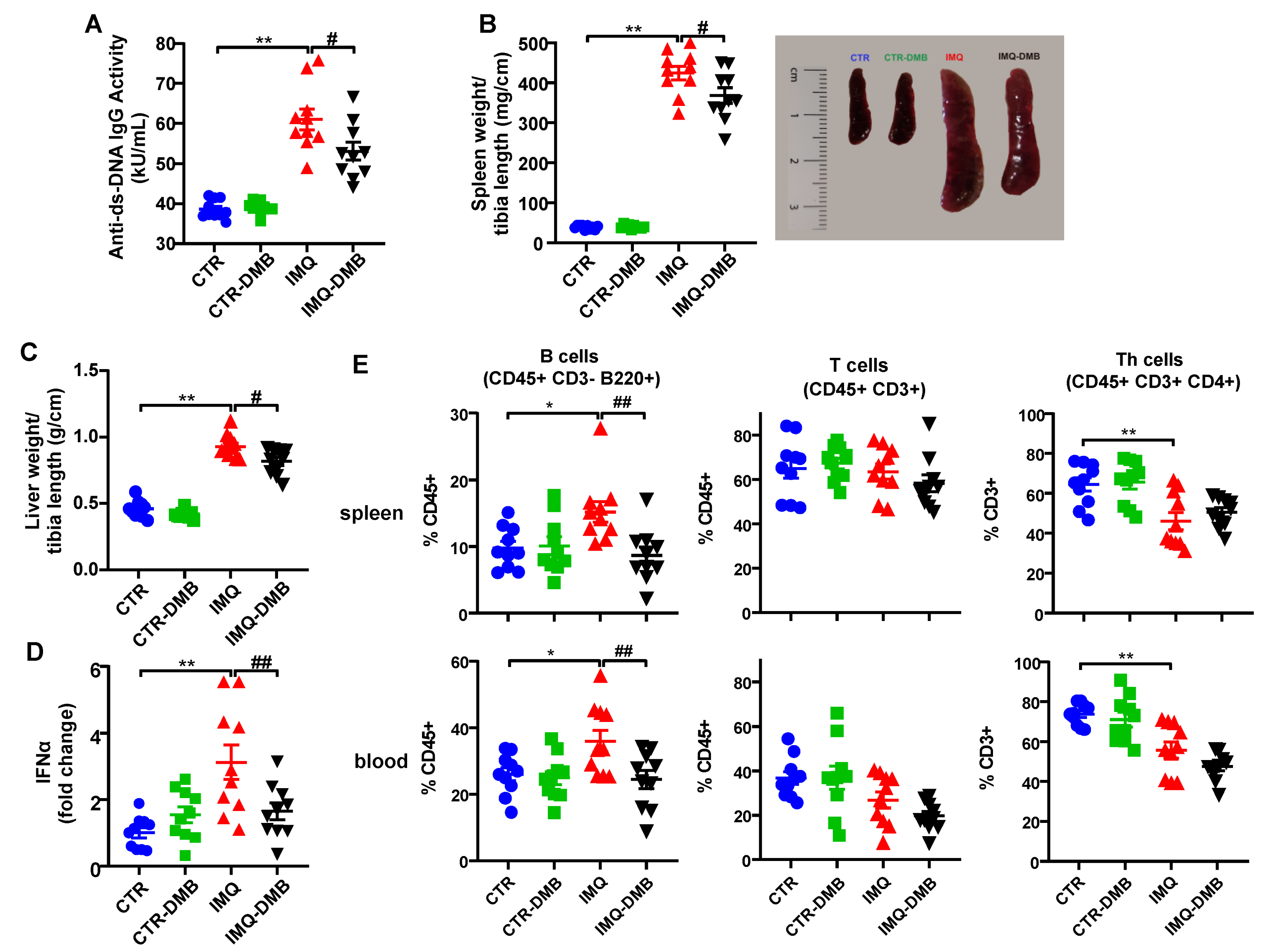 Antioxidants 11 00084 g002
