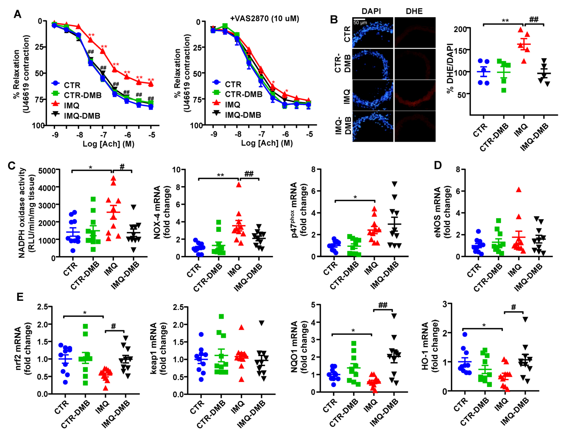 Antioxidants 11 00084 g005