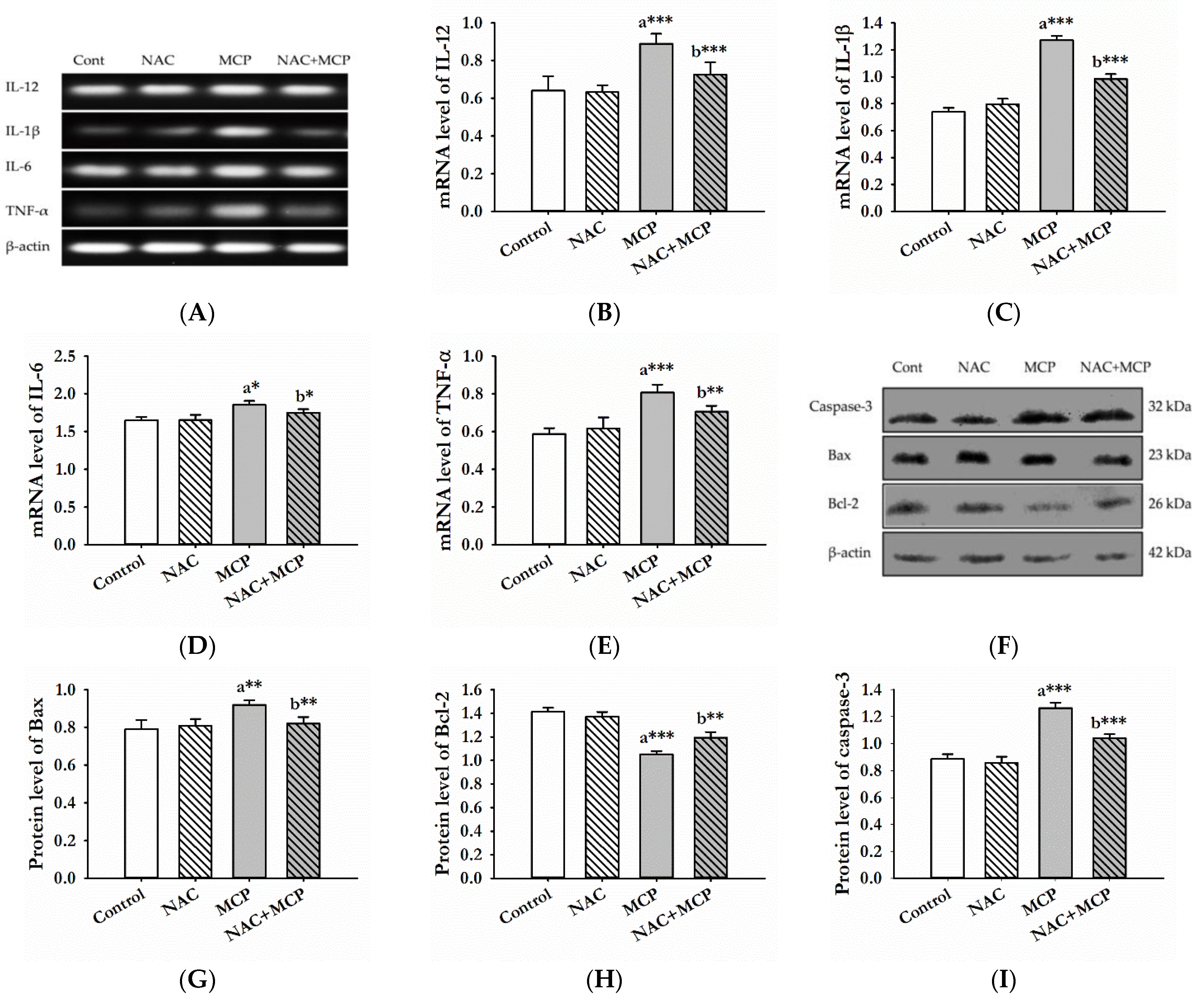 Antioxidants 11 00090 g002