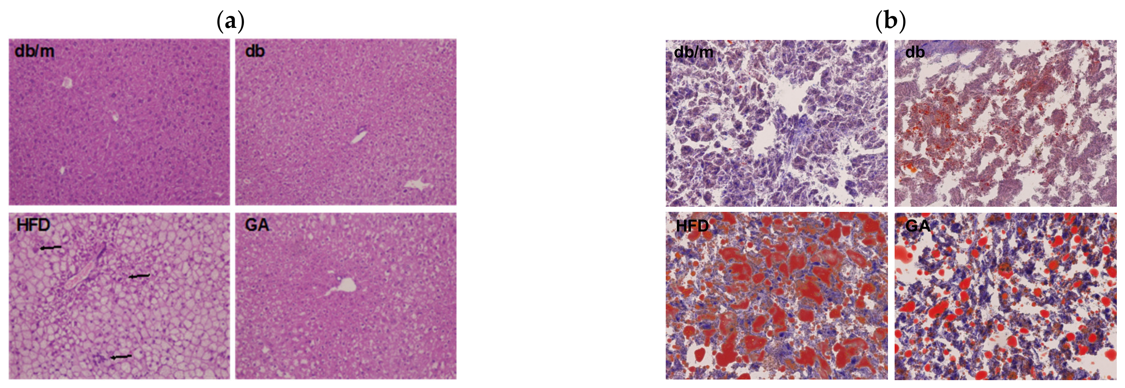 Antioxidants 11 00092 g001