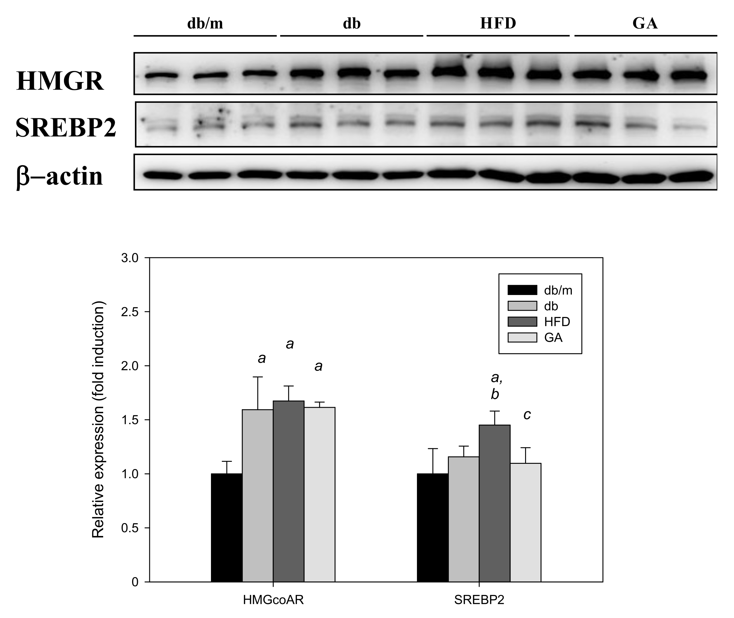 Antioxidants 11 00092 g005